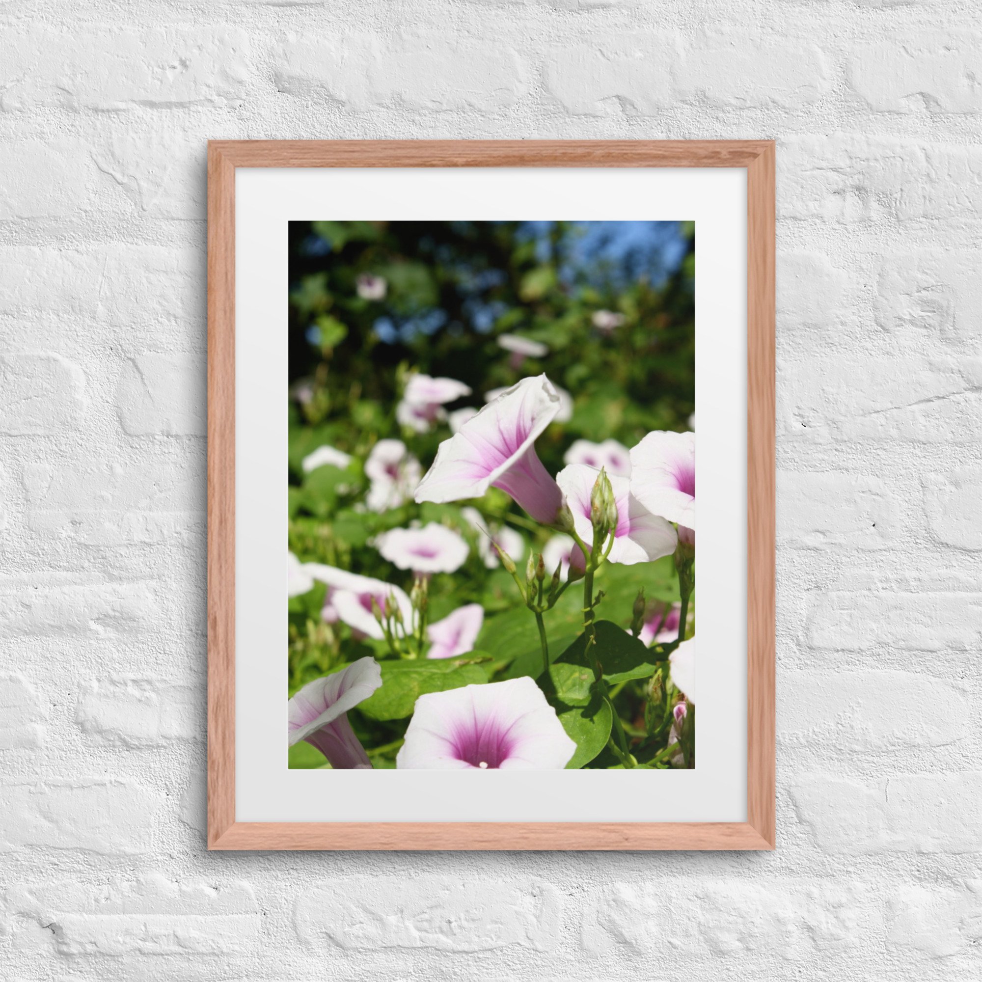 matte-paper-framed-poster-with-mat-(in)-red-oak-16x20-front-68007efa97b19.jpg