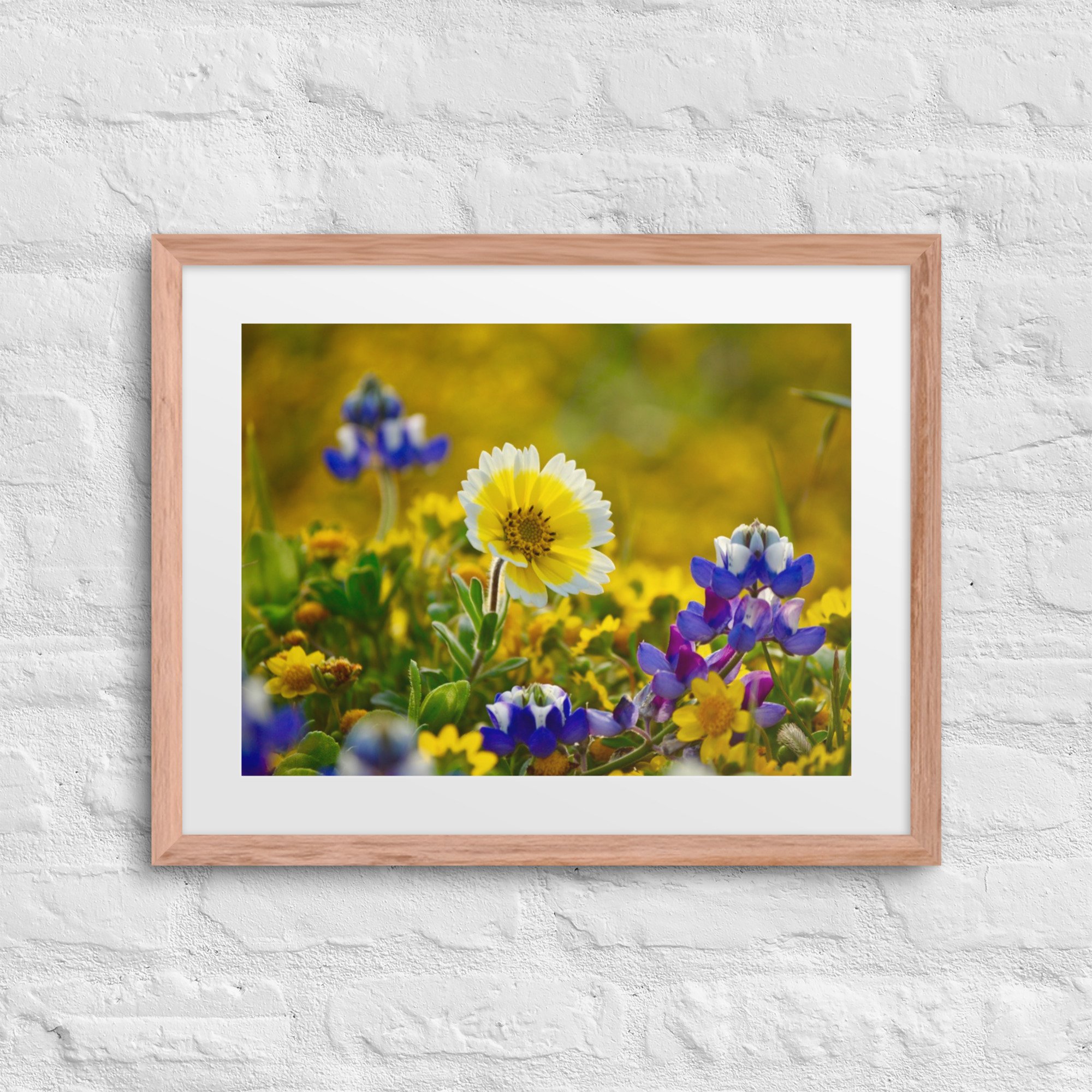 matte-paper-framed-poster-with-mat-(in)-red-oak-16x20-front-680081ce7c175.jpg