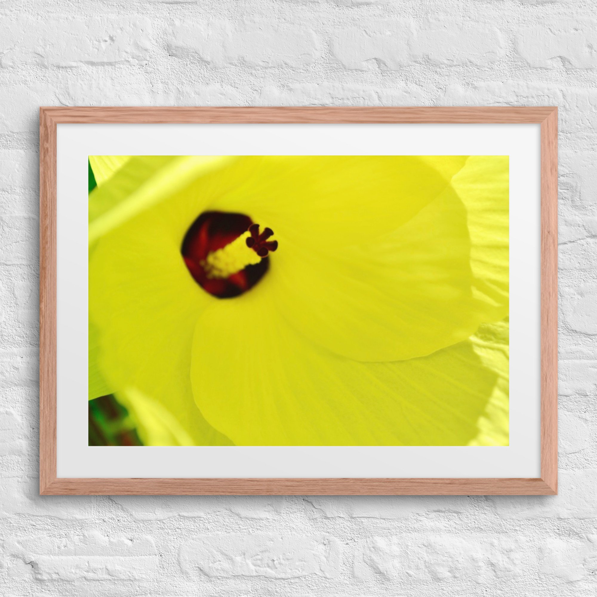 matte-paper-framed-poster-with-mat-(in)-red-oak-18x24-front-6800ab3e37f7f.jpg