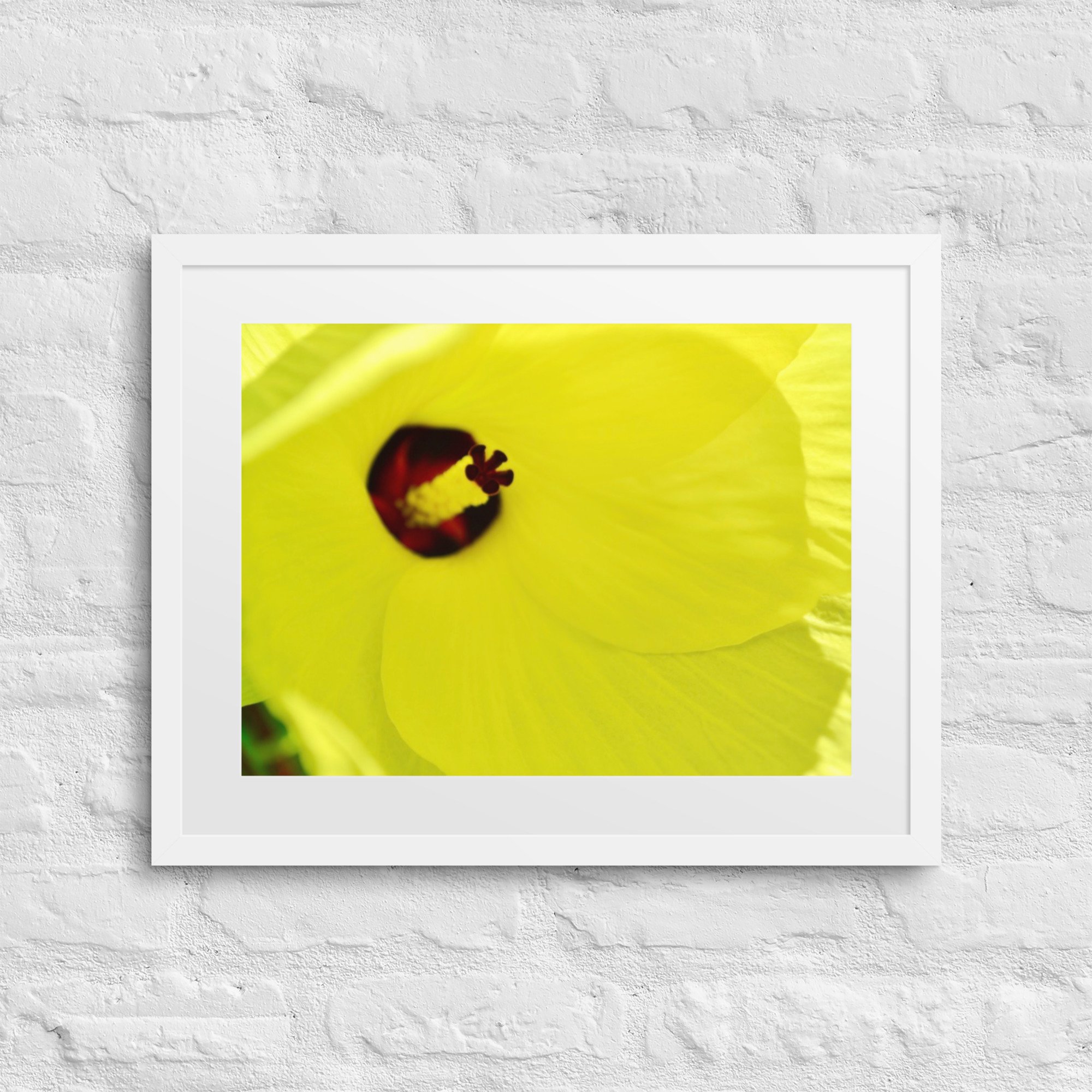matte-paper-framed-poster-with-mat-(in)-white-16x20-front-6800ab3e38004.jpg