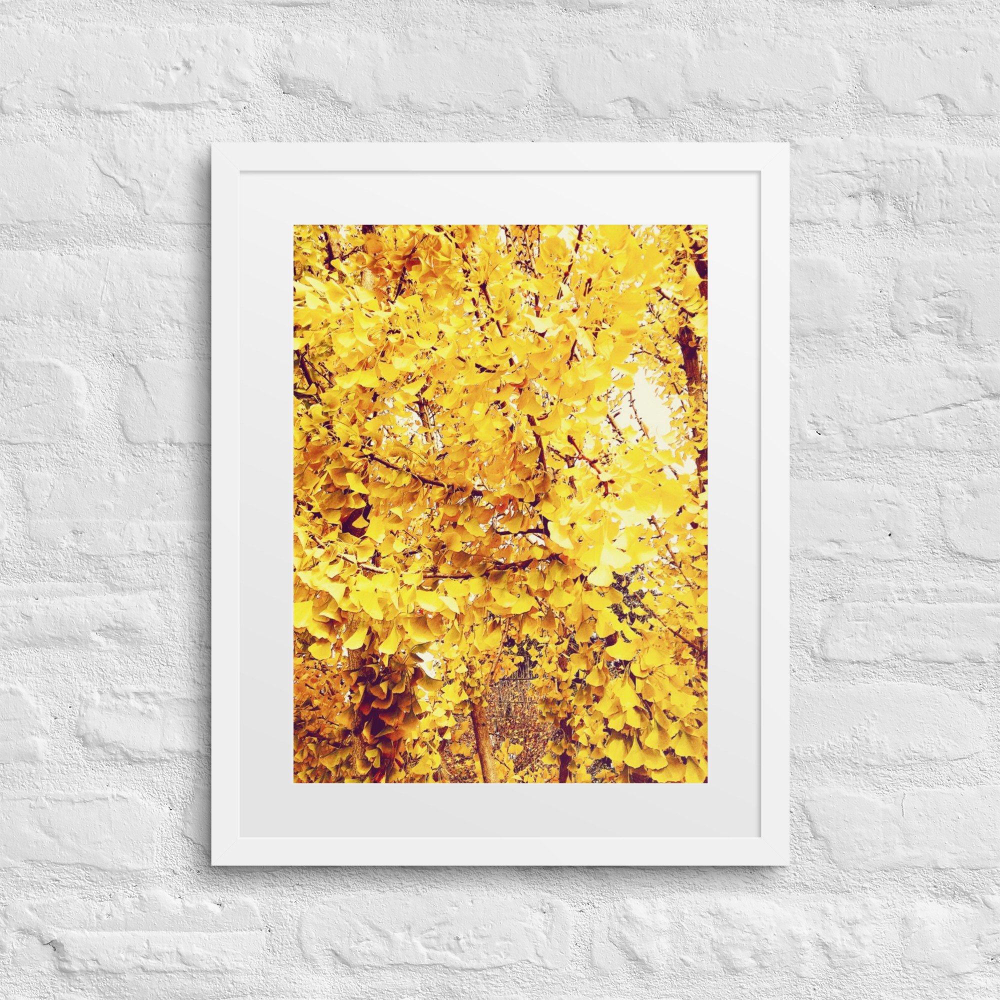 matte-paper-framed-poster-with-mat-(in)-white-16x20-front-6804f70dee092.jpg