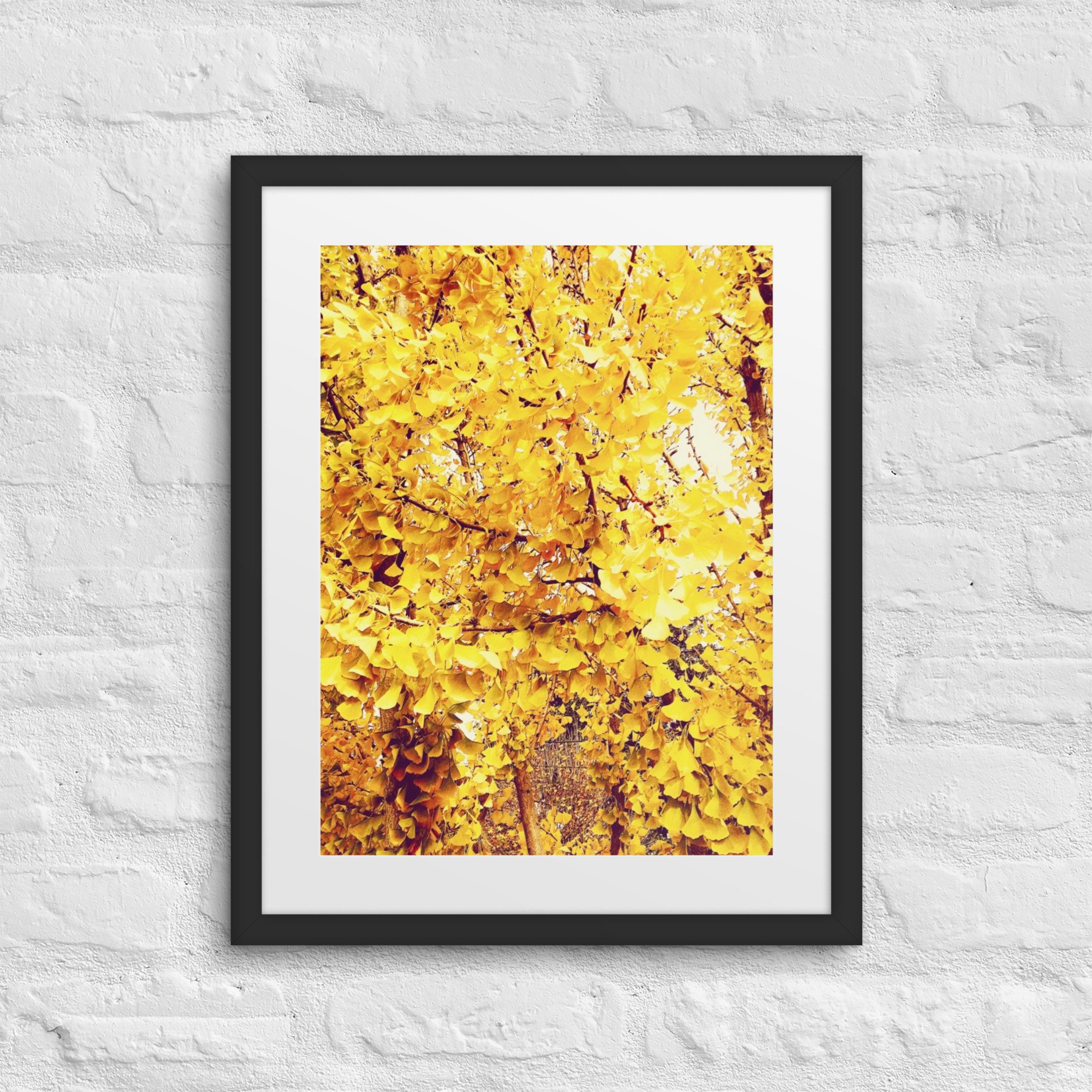 matte-paper-framed-poster-with-mat-(in)-black-16x20-front-6804f70deea1f.jpg