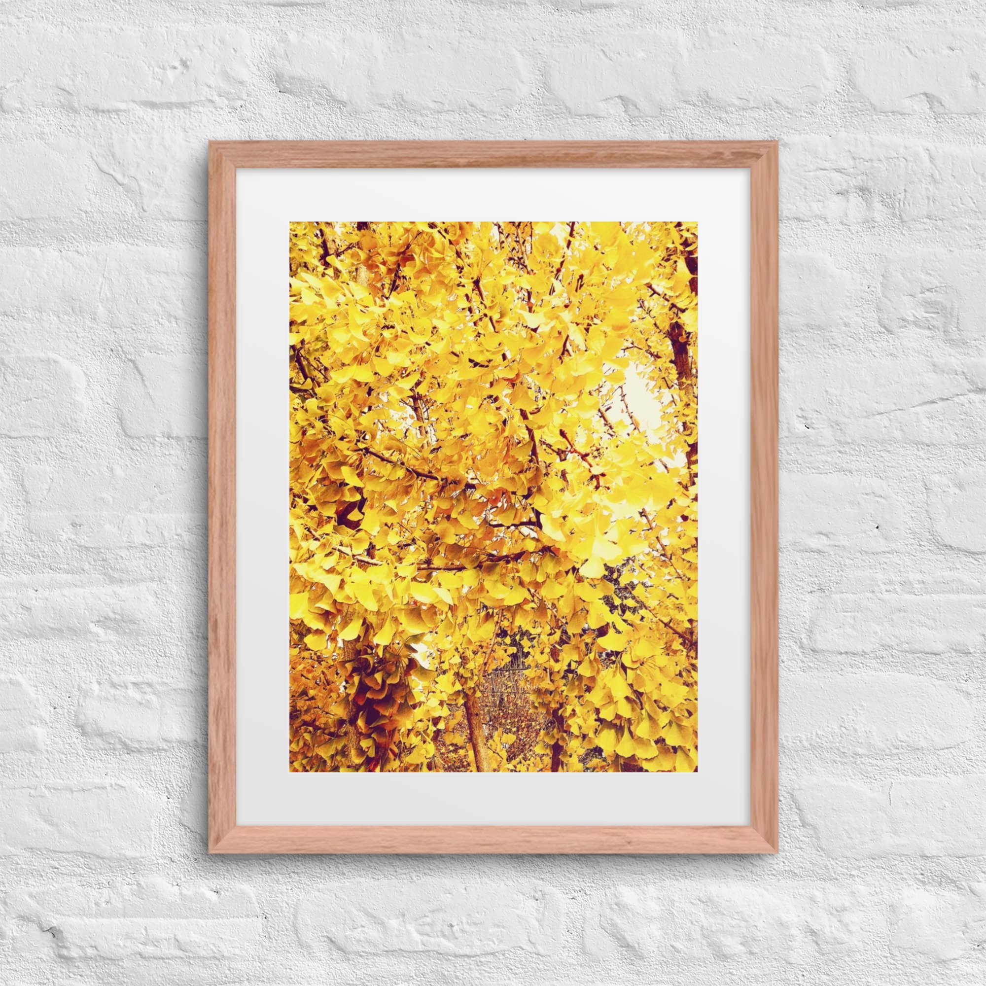 matte-paper-framed-poster-with-mat-(in)-red-oak-16x20-front-6804f70deeb22.jpg