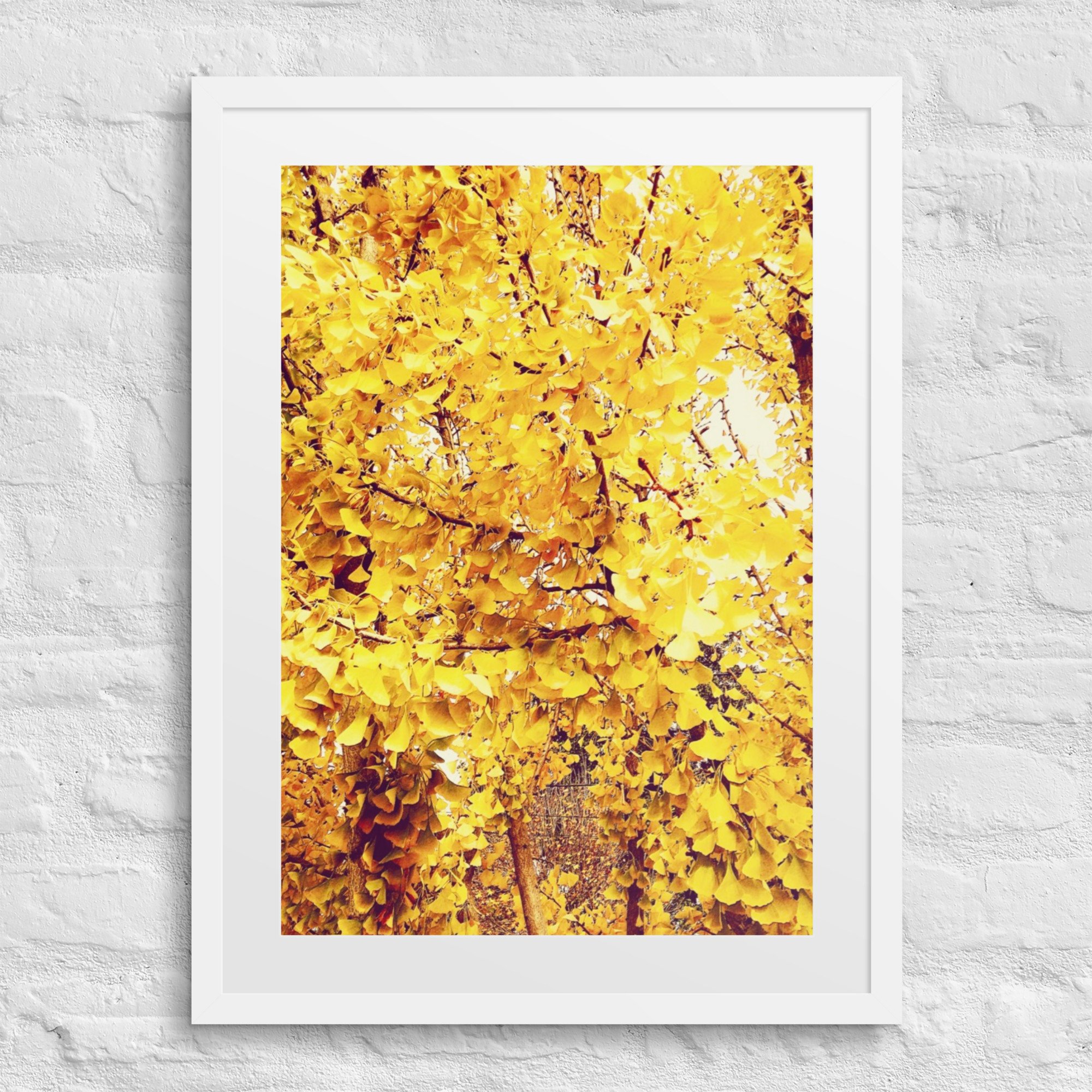 matte-paper-framed-poster-with-mat-(in)-white-18x24-front-6804f70deebf0.jpg