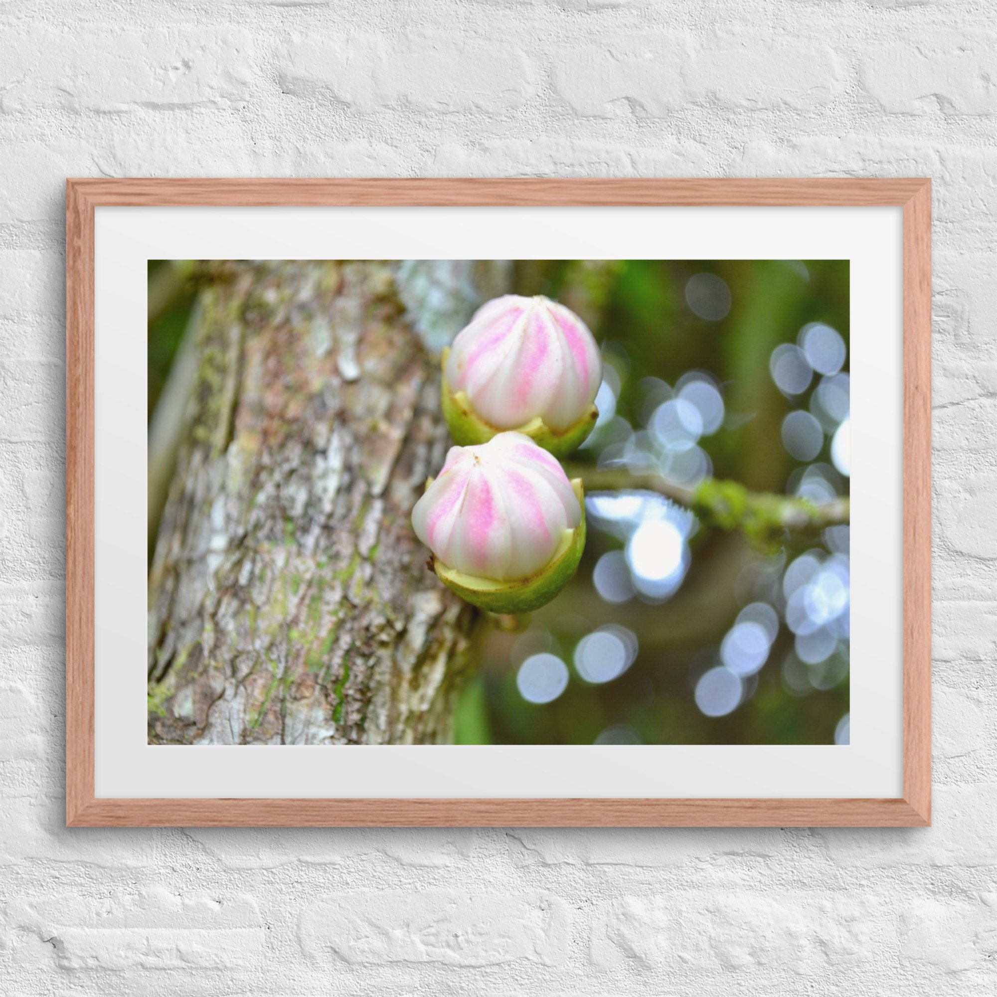 matte-paper-framed-poster-with-mat-(in)-red-oak-18x24-front-68058da2ea55b.jpg