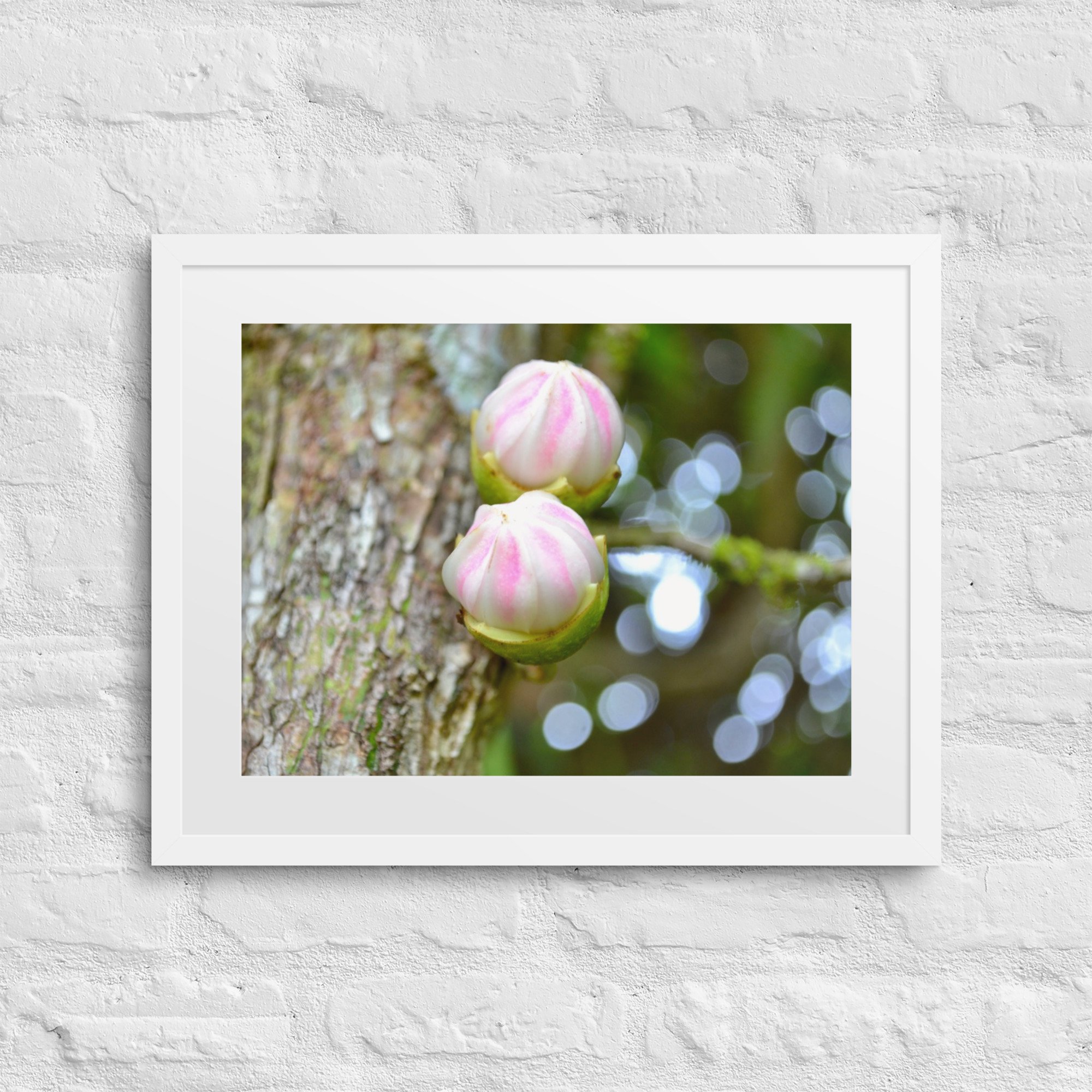 matte-paper-framed-poster-with-mat-(in)-white-16x20-front-68058da2ea5e0.jpg