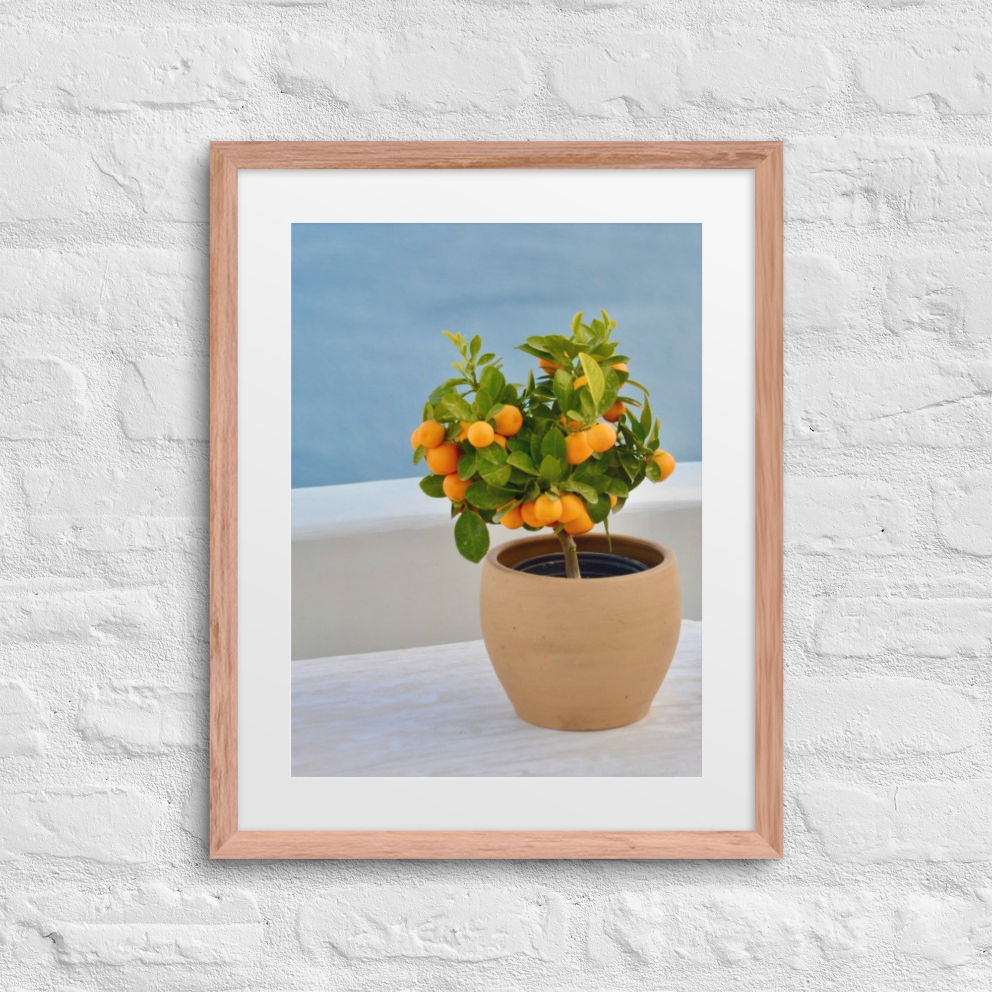 matte-paper-framed-poster-with-mat-(in)-red-oak-16x20-front-68059d132be32.jpg