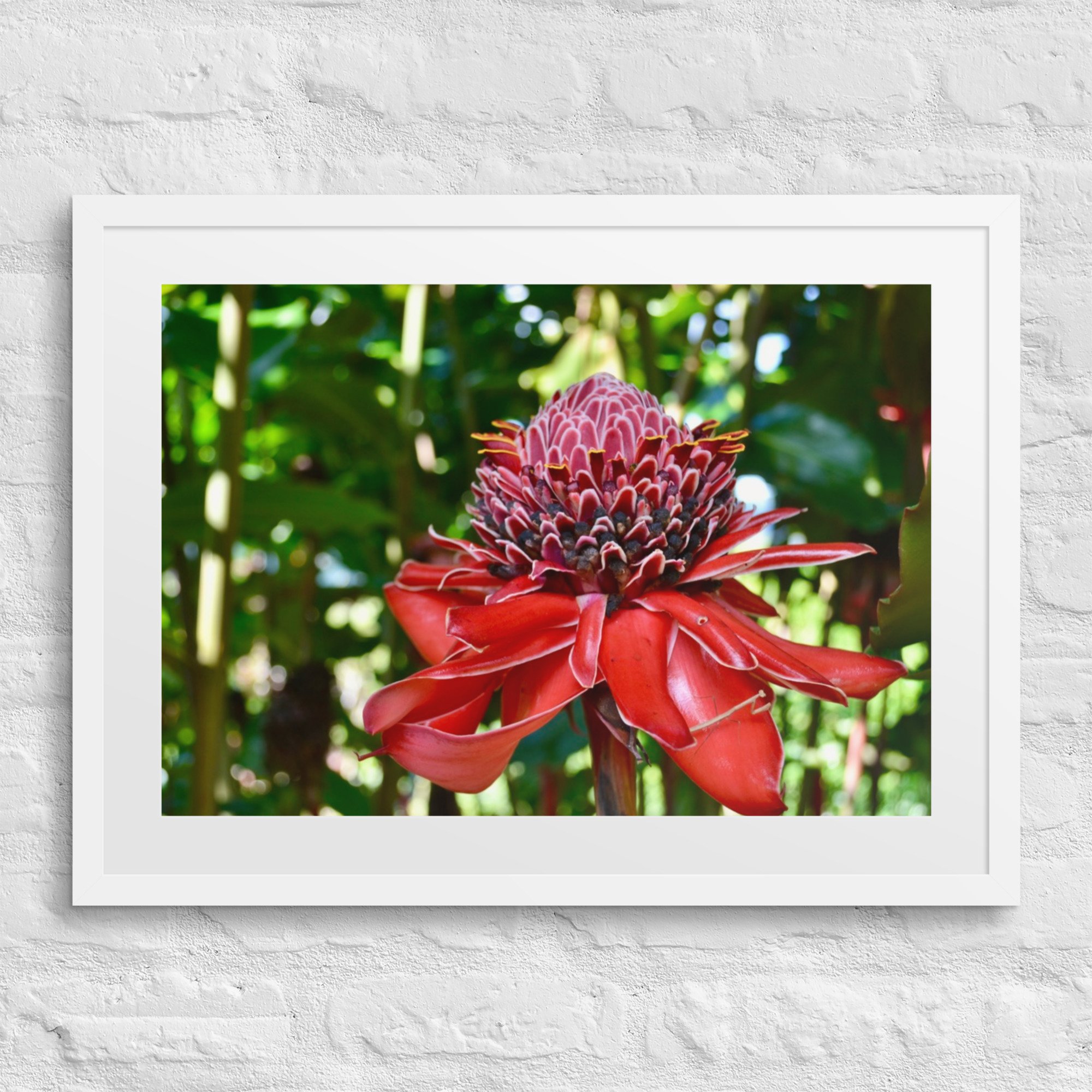 matte-paper-framed-poster-with-mat-(in)-white-18x24-front-680a819c63127.jpg