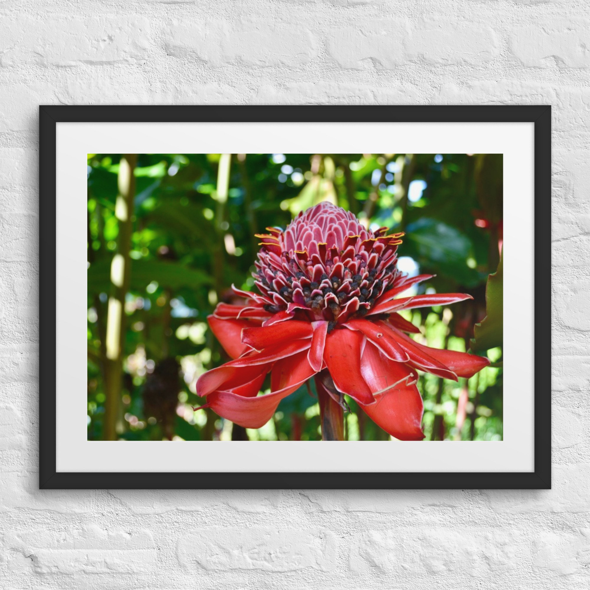 matte-paper-framed-poster-with-mat-(in)-black-18x24-front-680a819c637a1.jpg