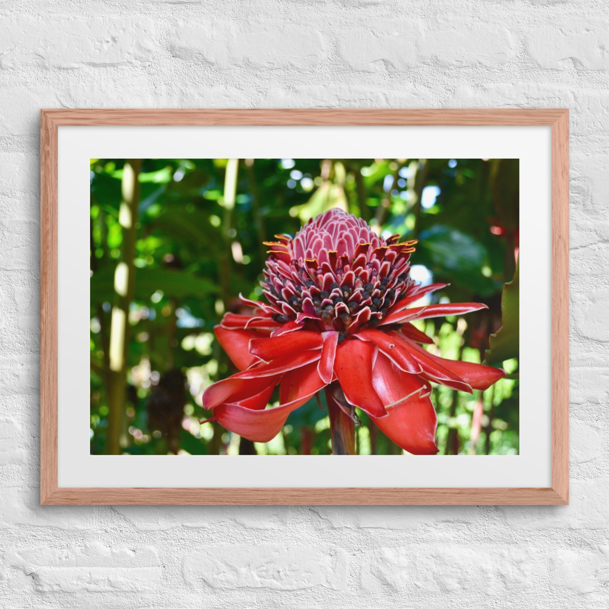 matte-paper-framed-poster-with-mat-(in)-red-oak-18x24-front-680a819c63872.jpg