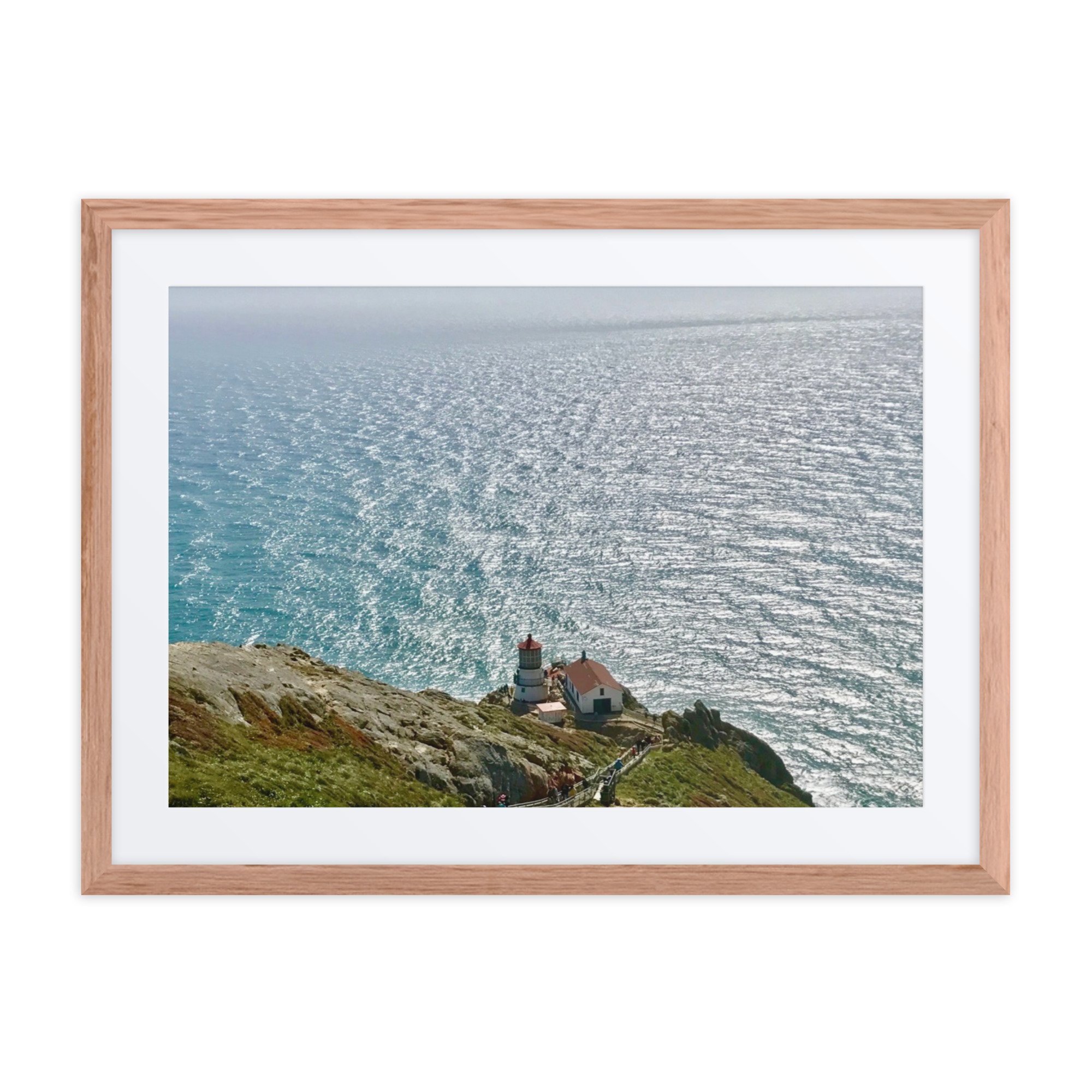 Settled in Silent Solitude