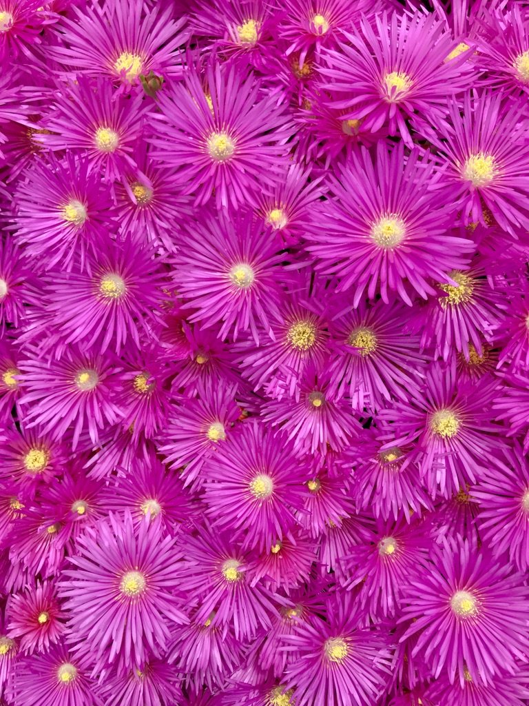 E2FA0D37-229B-419C-BE2E-B8ACFBE2BC91.jpeg