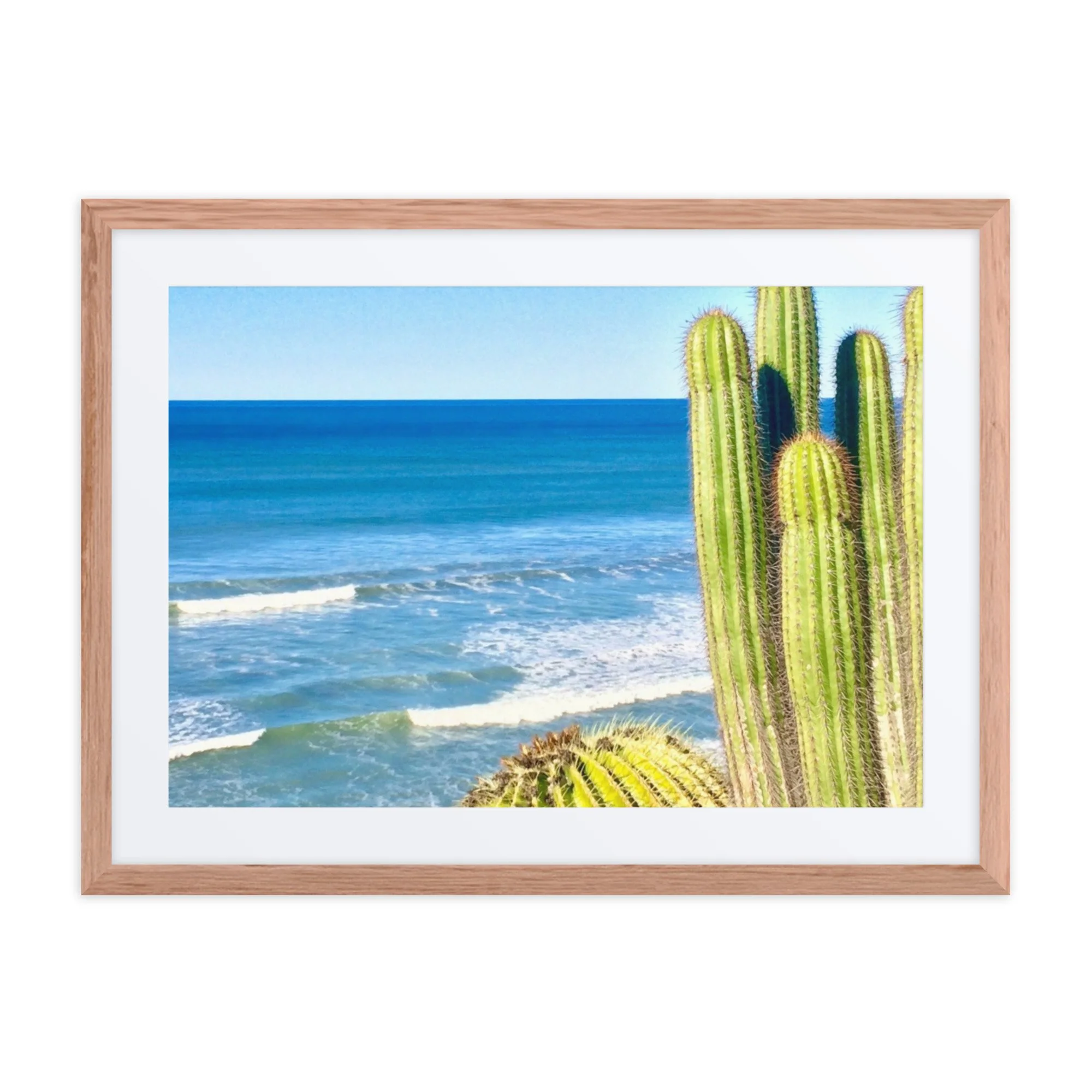 Where Desert Meets Ocean