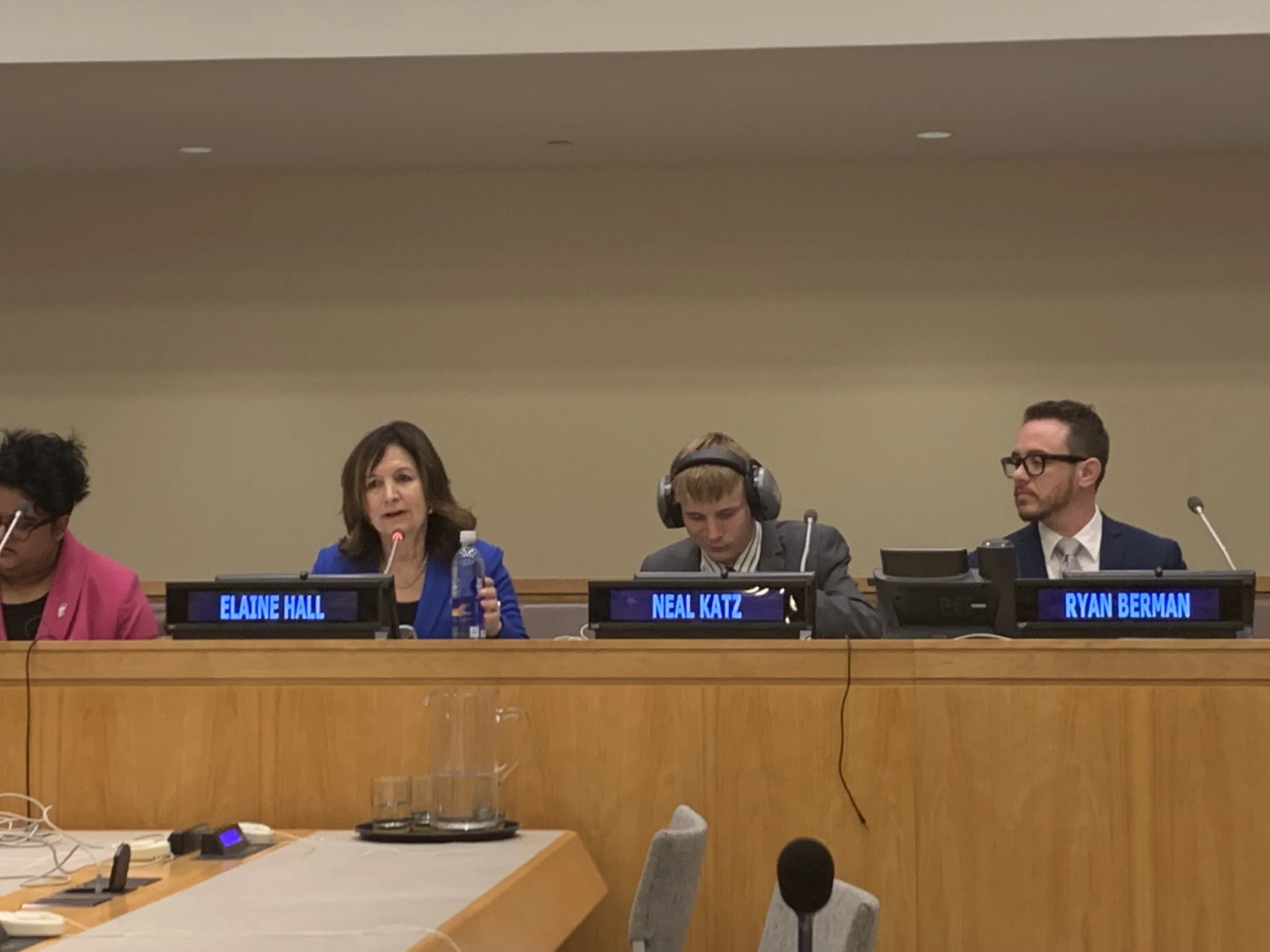 Elaine Neal  Ryan UN 2019 .jpeg