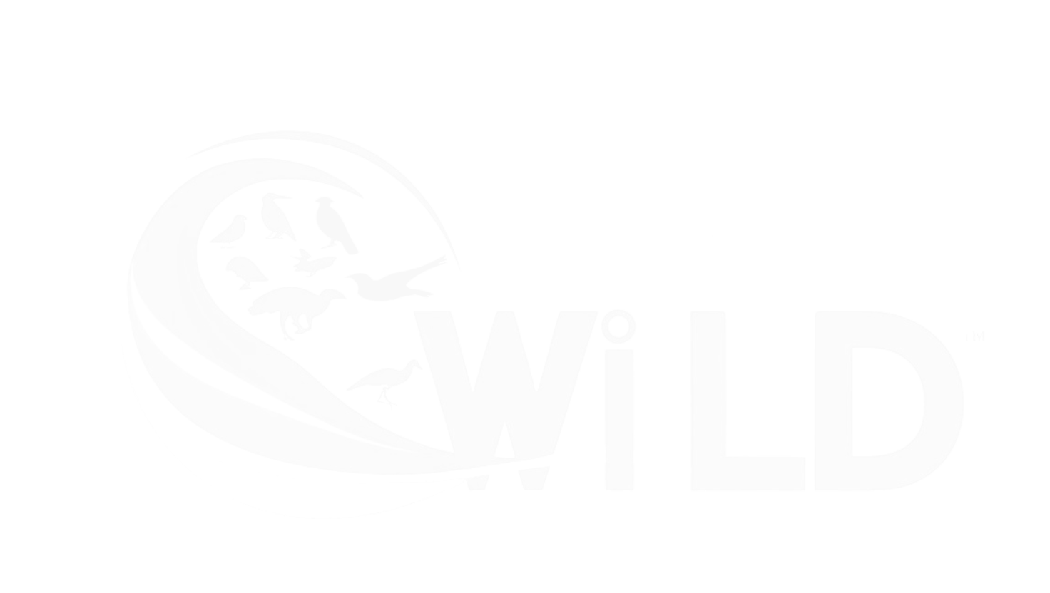 WIILD – Intelligence for a Wilder World