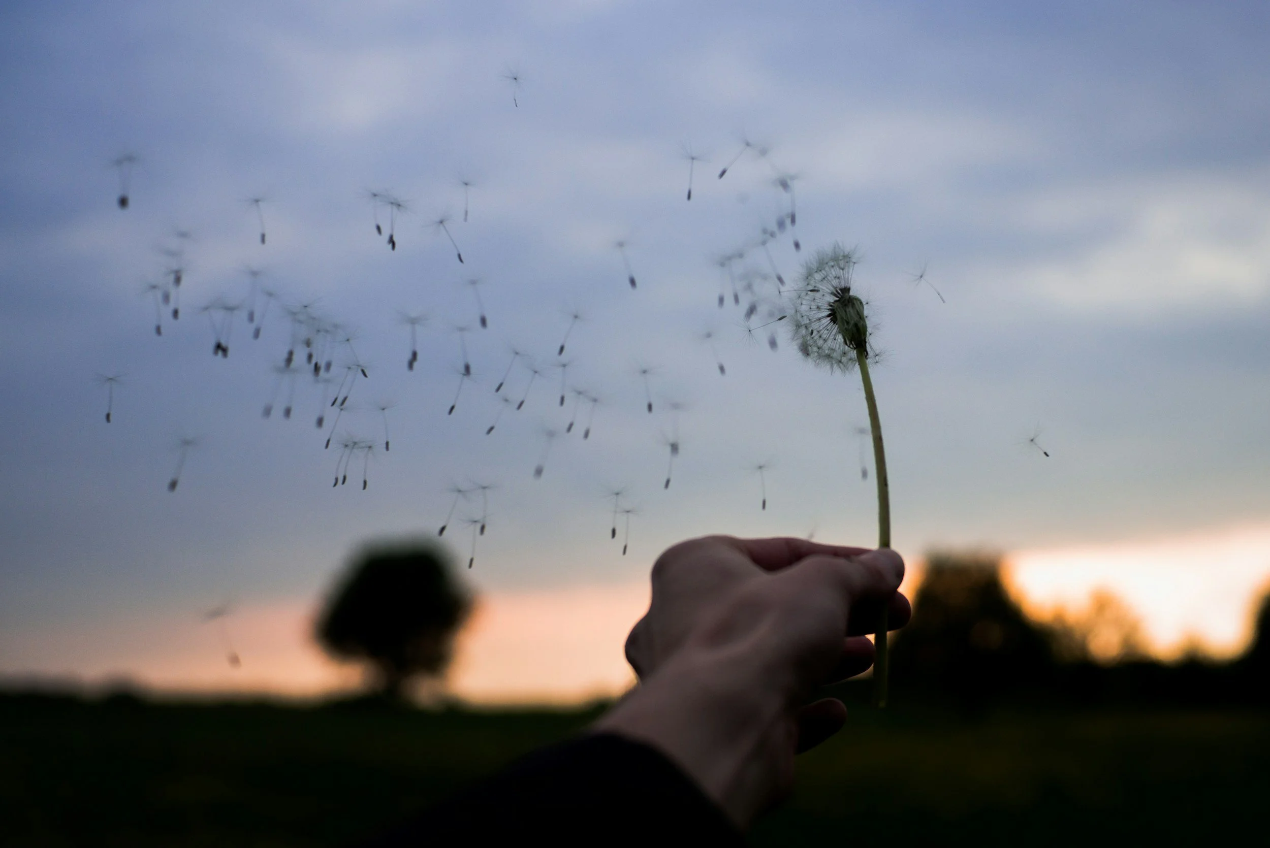 Pregnancy Loss, and the Power of Sharing Our Story