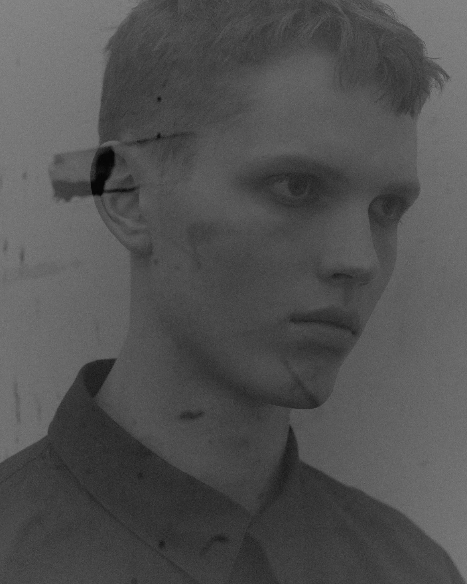 cut19_086.jpg