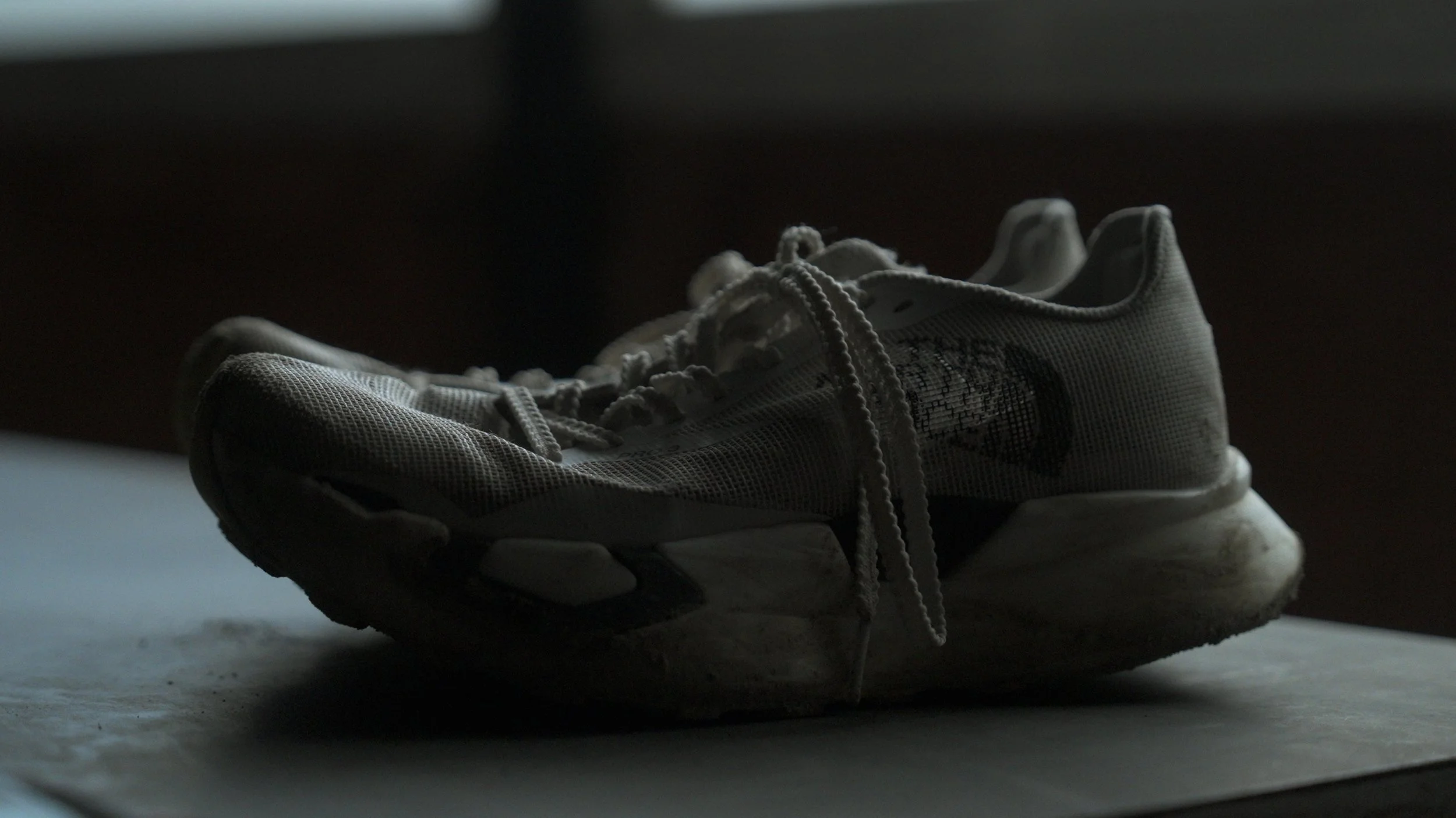 TNF_SHOES_final.00_00_13_07.静止画008.jpg