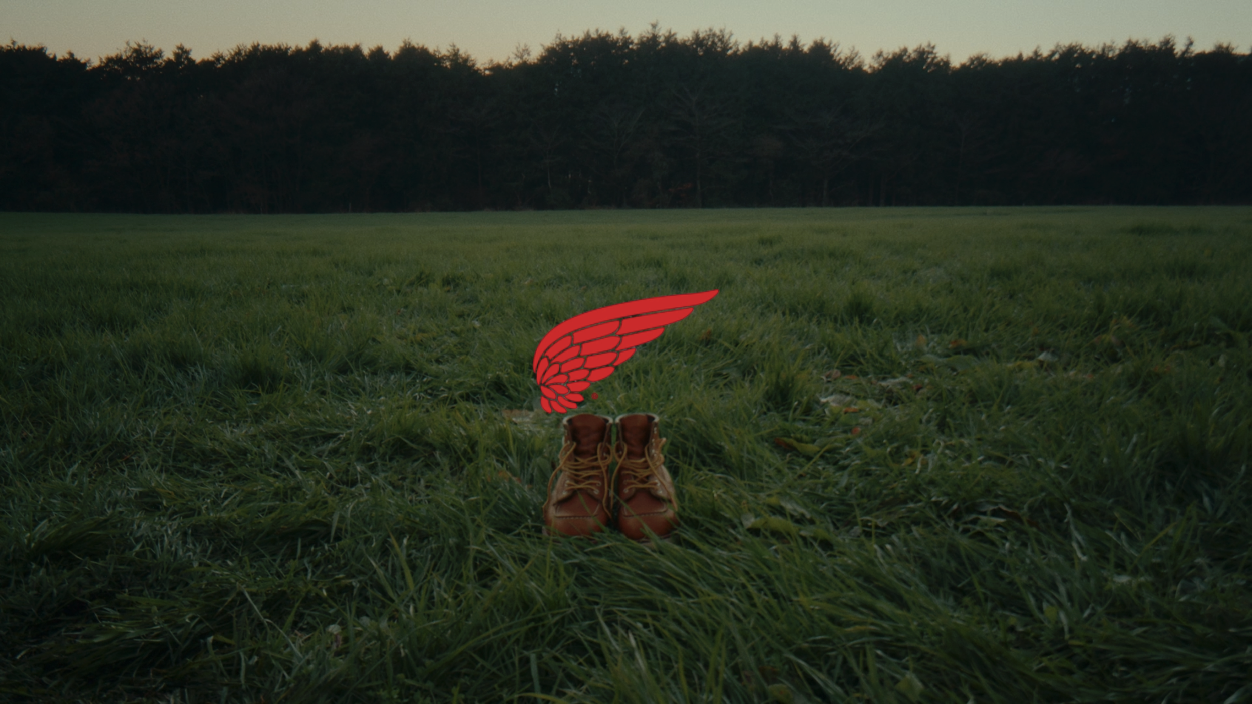 RED WING “RE-ROOTS”