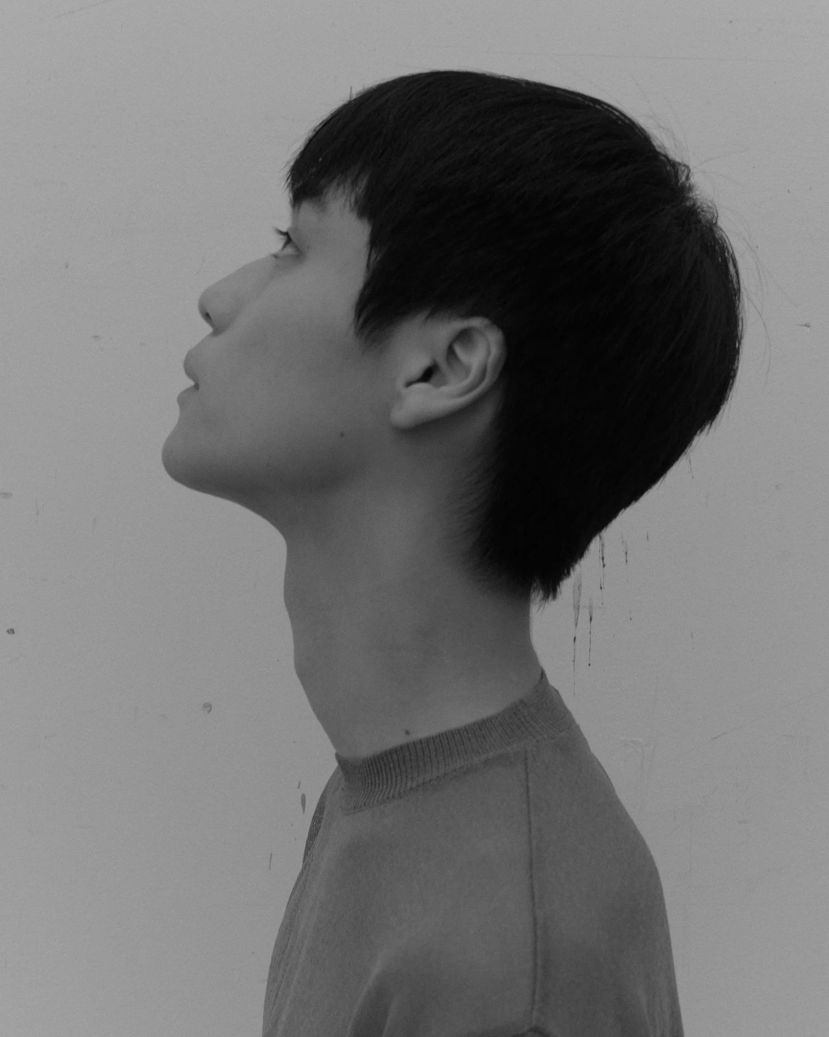 cut16_036.jpg