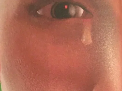 Geestesadem - het zelf in digitale tijden: van mind tot hivemind?