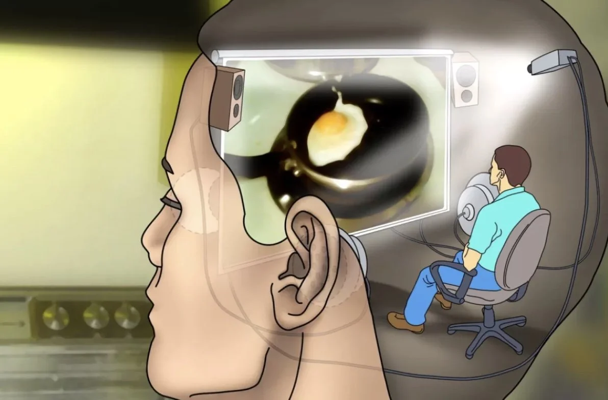 Do We Really See in the Mind?