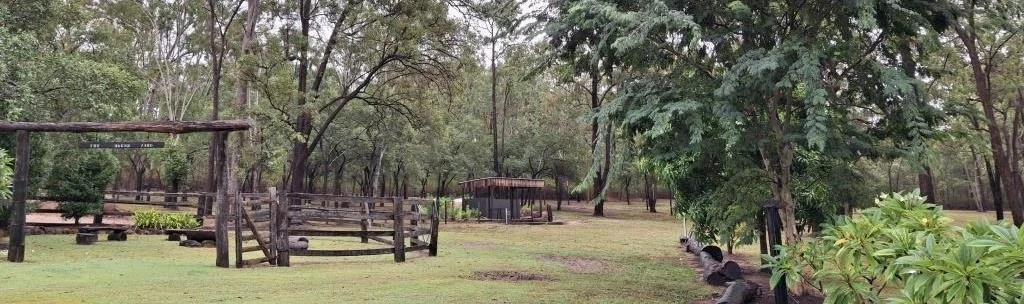 A tranquil outdoor scene with an open area featuring wooden fences and lush green trees. There is a pathway lined with green plants. The environment has a natural, serene atmosphere.