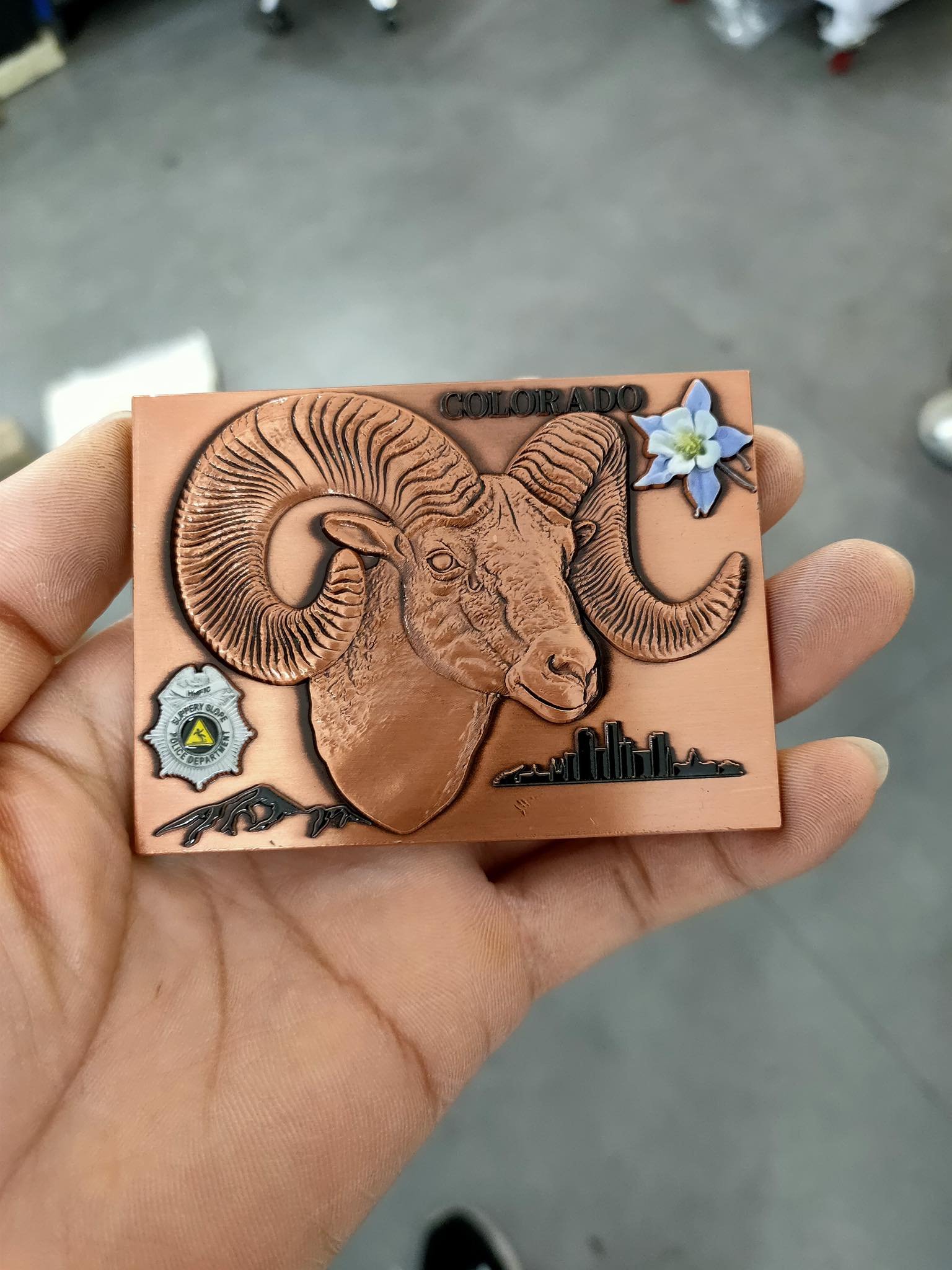 Colorado Challenge Coin