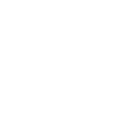 En sort-hvid rose tegning
