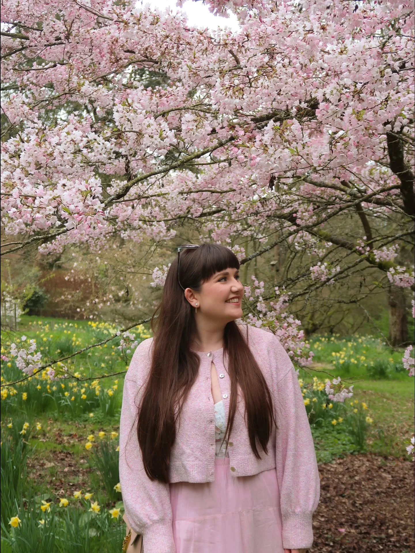 My absolute favourite place to see blossom in the Cotswolds! 🌸✨️ (and it's currently in bloom - so be quick!)

Usually peaking from late March to mid-April, Batsford Arboretum fills with soft pink and white cherry blossoms, creating the prettiest pa