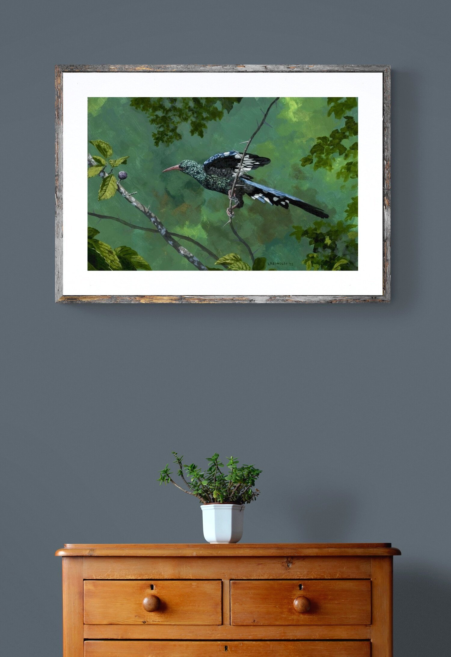 plant-on-wooden-drawers+%2811%29.jpg