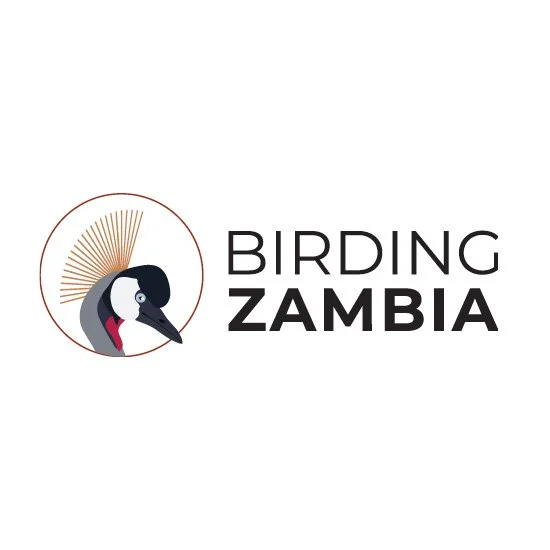 Partner_FB_Social Birding Zambia2.jpg