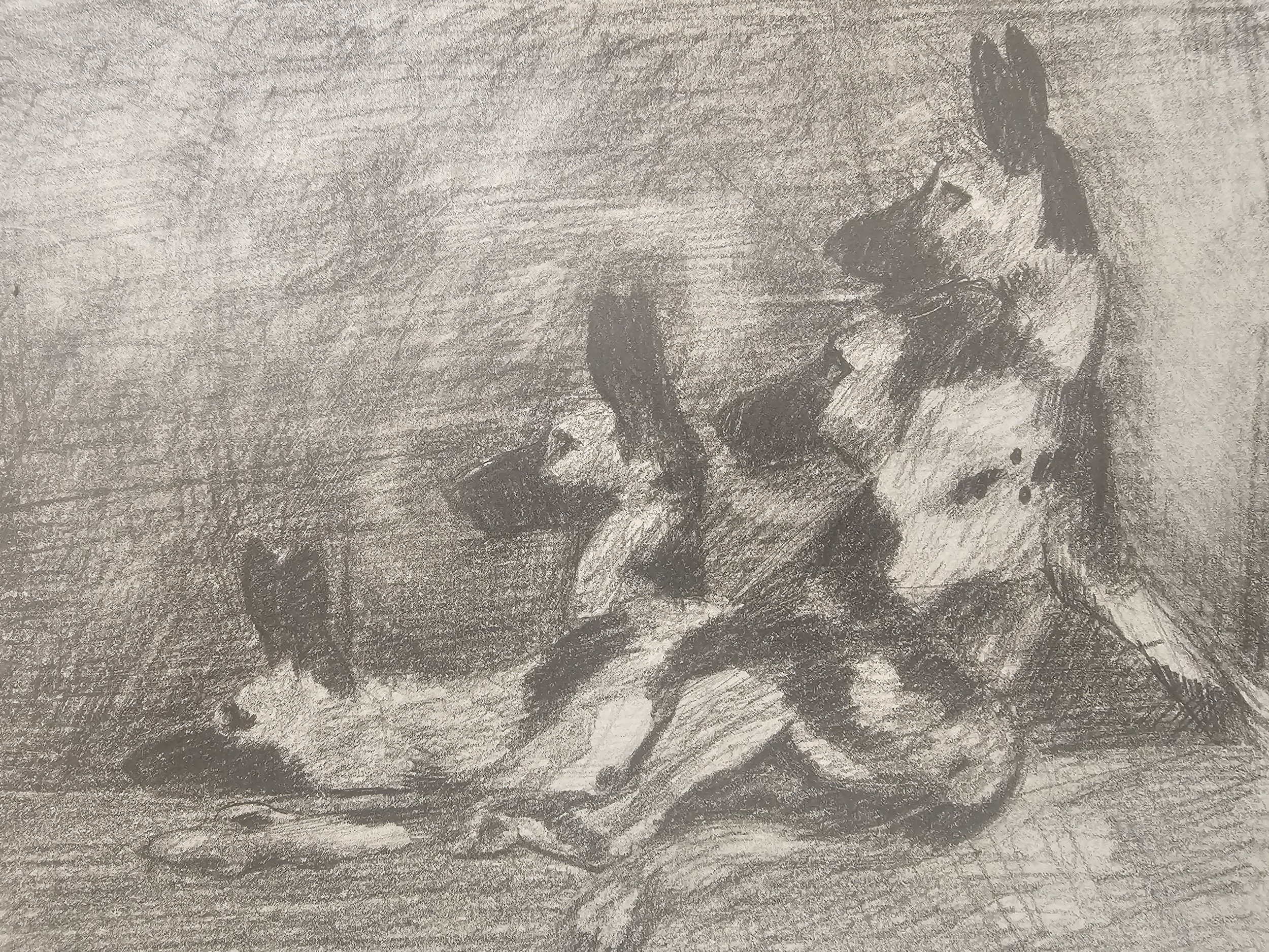 Pencil drawing of African wild dogs resting on the ground.