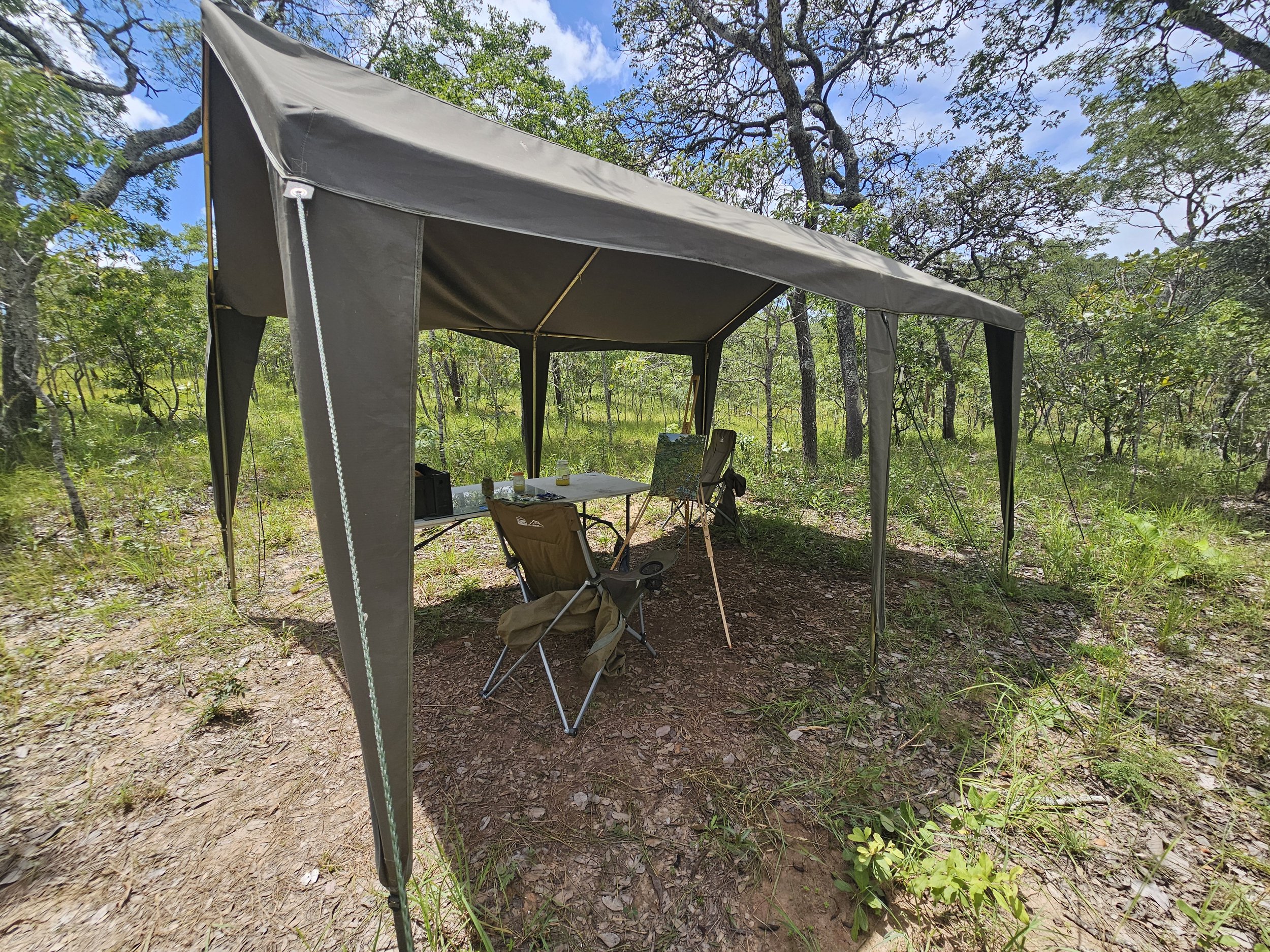 Outdoor camping setup with a green canopy tent, folding chairs, and a table, surrounded by a grassy woodland area.