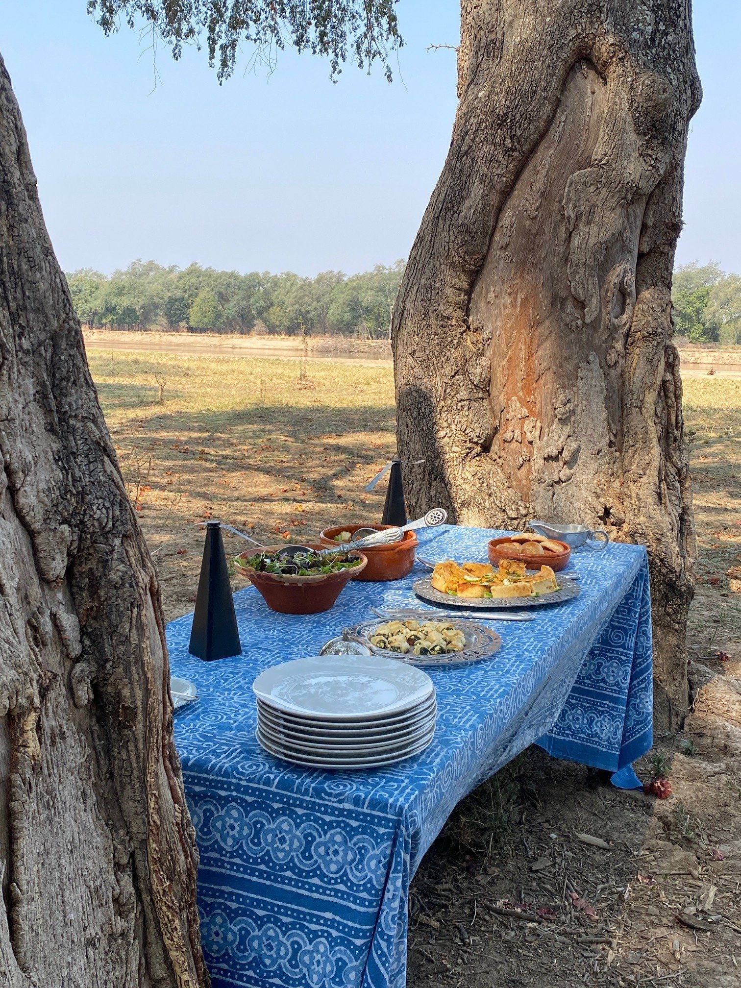 Outdoor picnic table with blue patterned tablecloth, plates, bowls of salad, pastries, and cutlery, set between two large trees in a field.