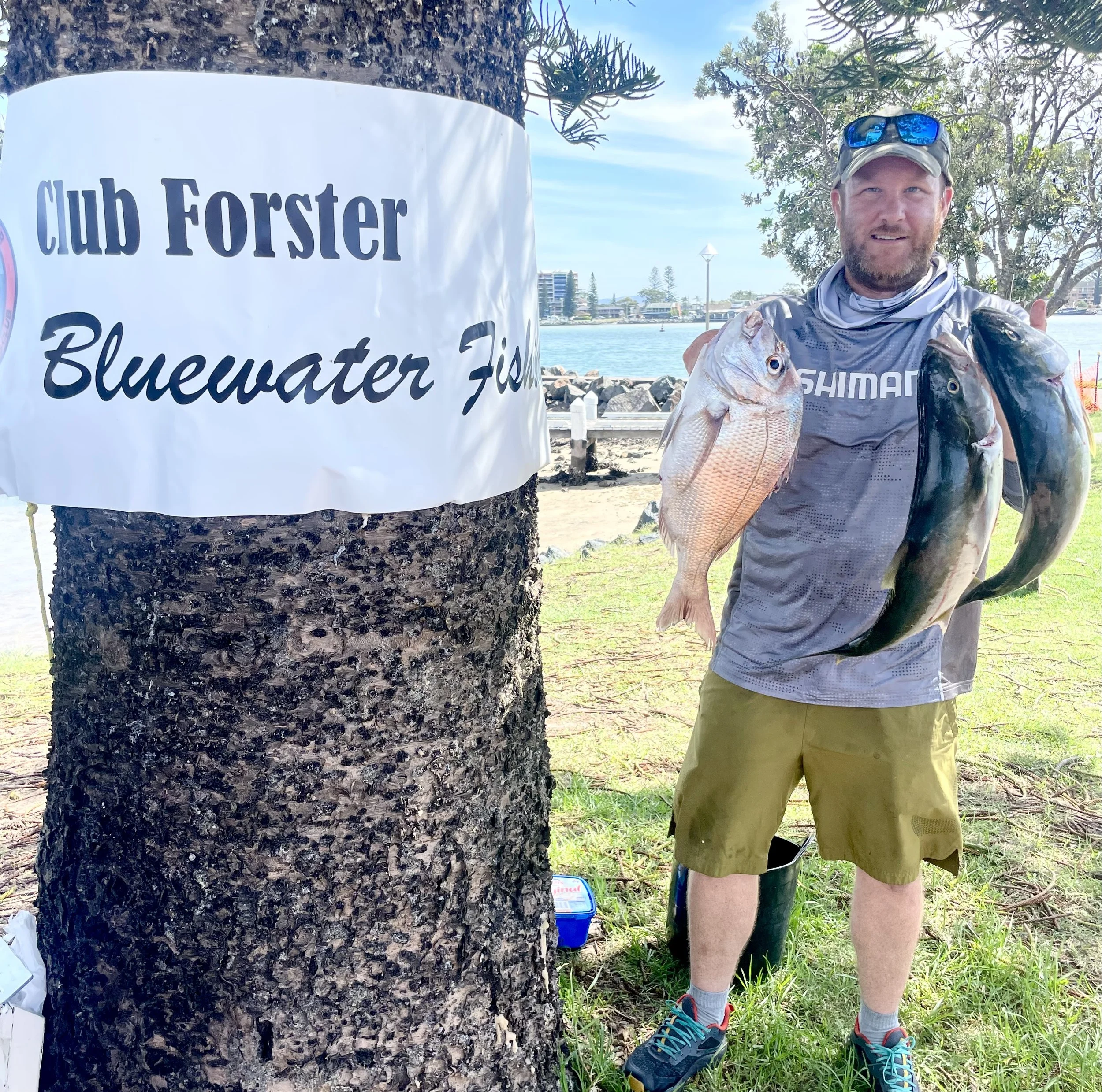 Man holding three large fish beside a tree with a "Club Forster Bluewater Fishing" sign. Outdoor setting with grass, water, and a distant cityscape.
