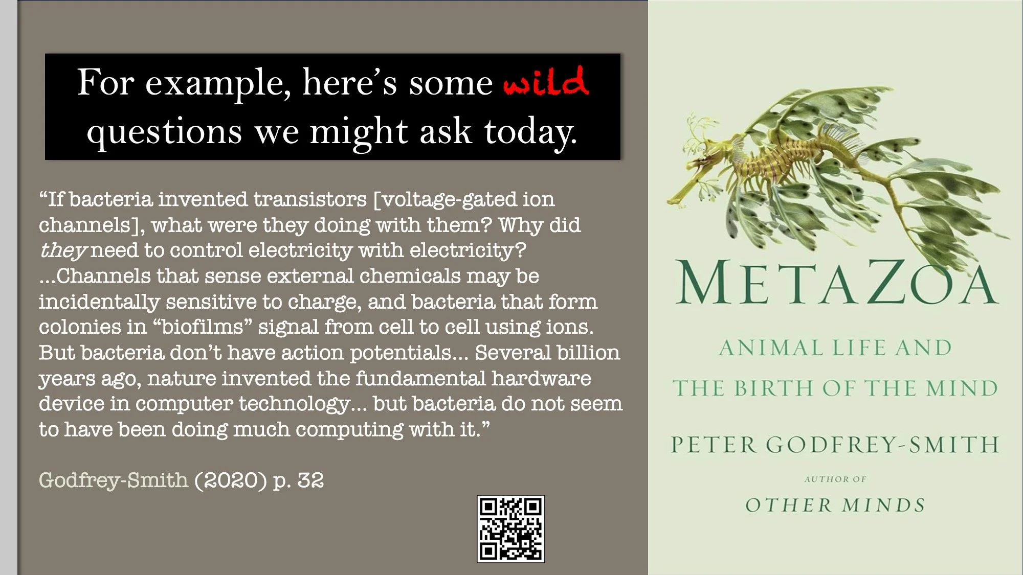 Slide6.jpeg