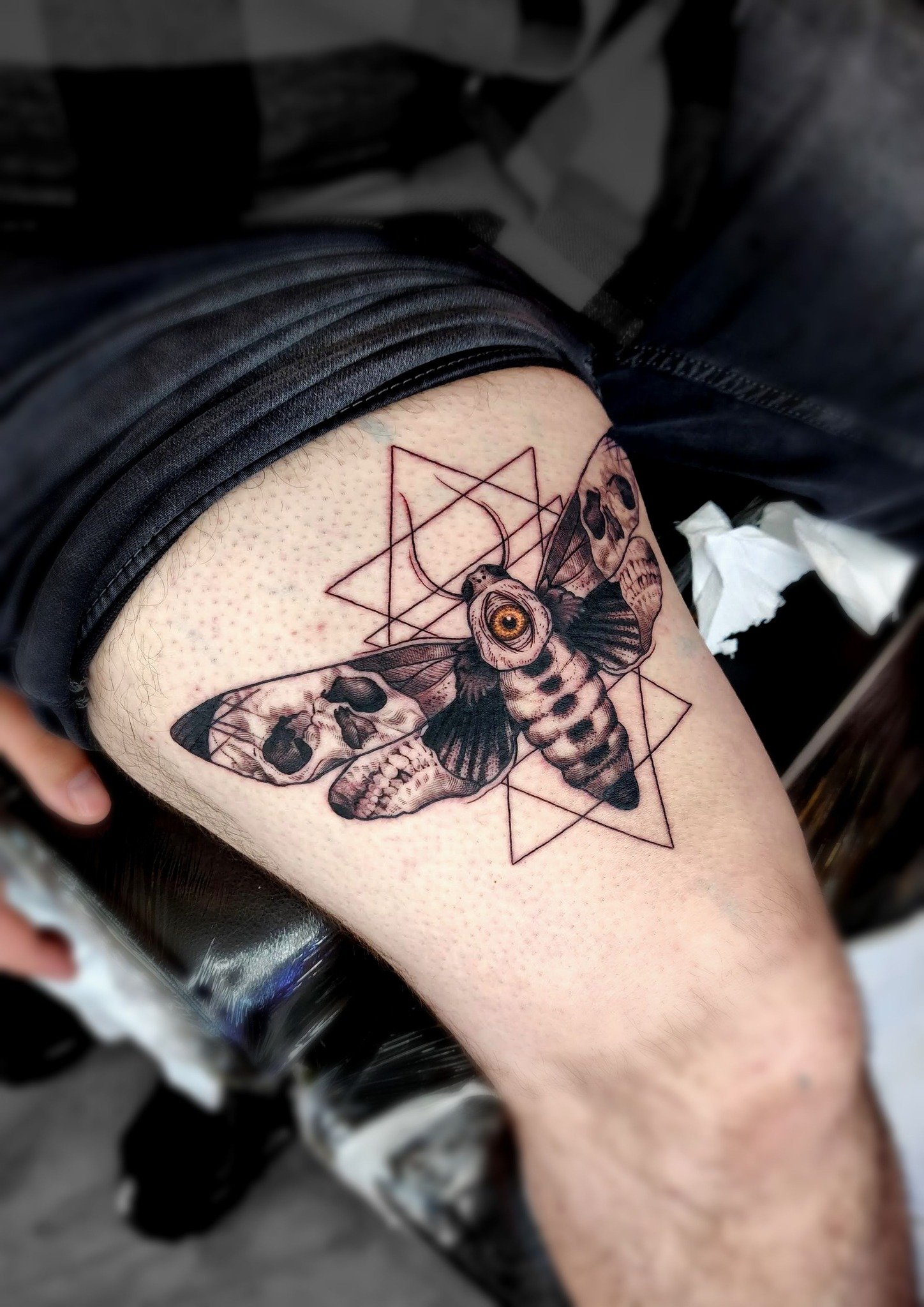 Black moth tattoo with skulls 