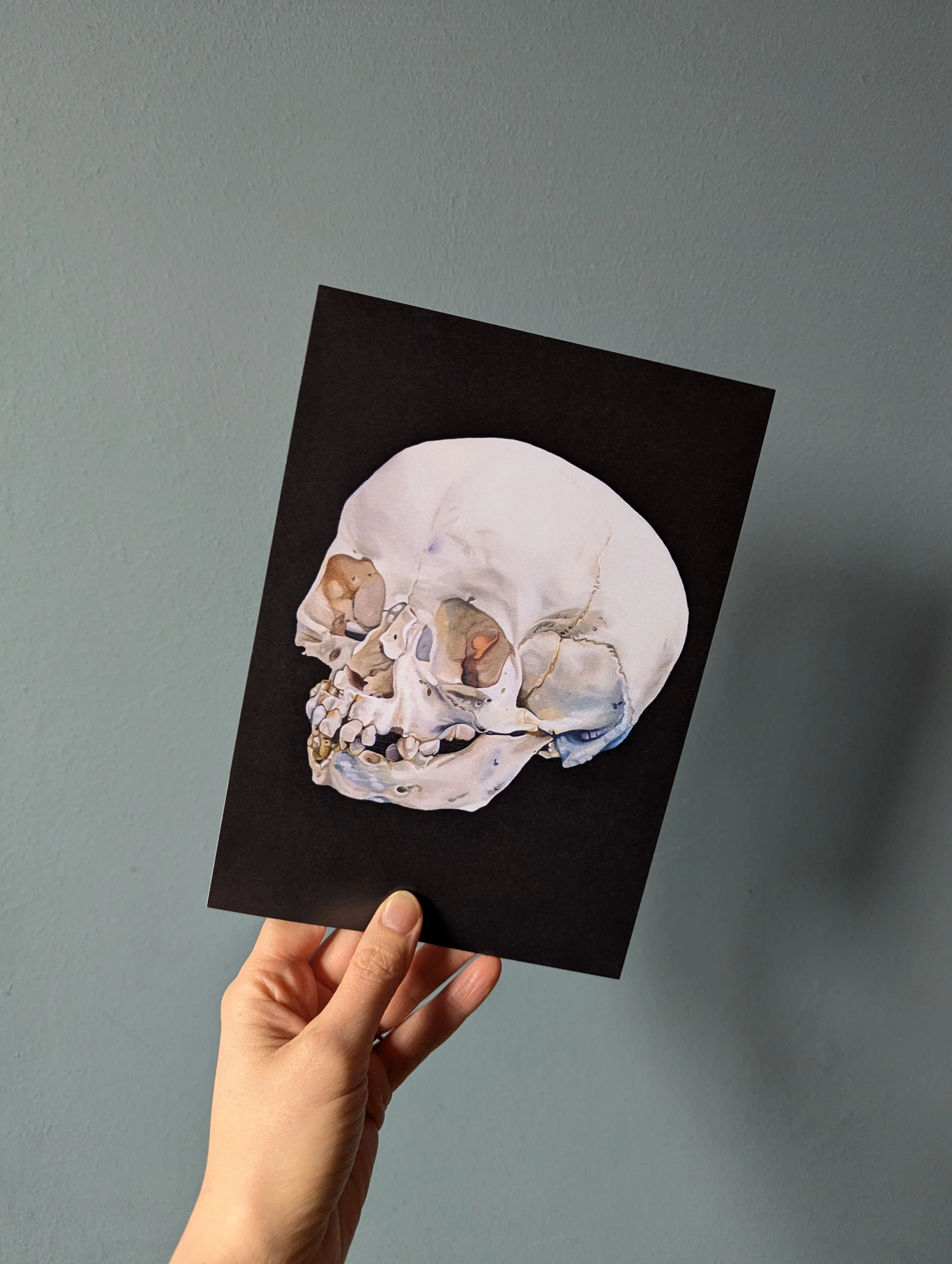 'Comet' Skull Art Print