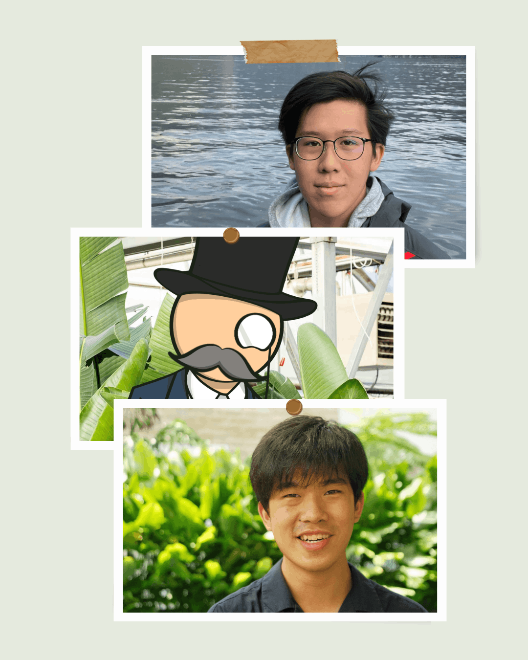 Photos of Nicholas, Reginald and Timothy pinned on the wall