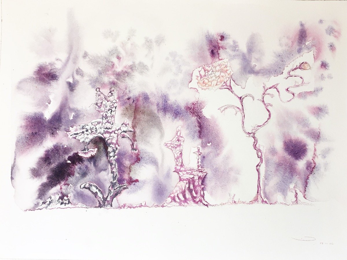 Blooming or fading • watercolour & pencil • 41x31cm