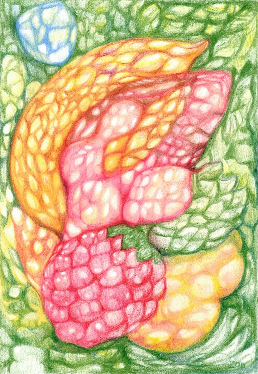 Fruitful • pencil • 26x18cm