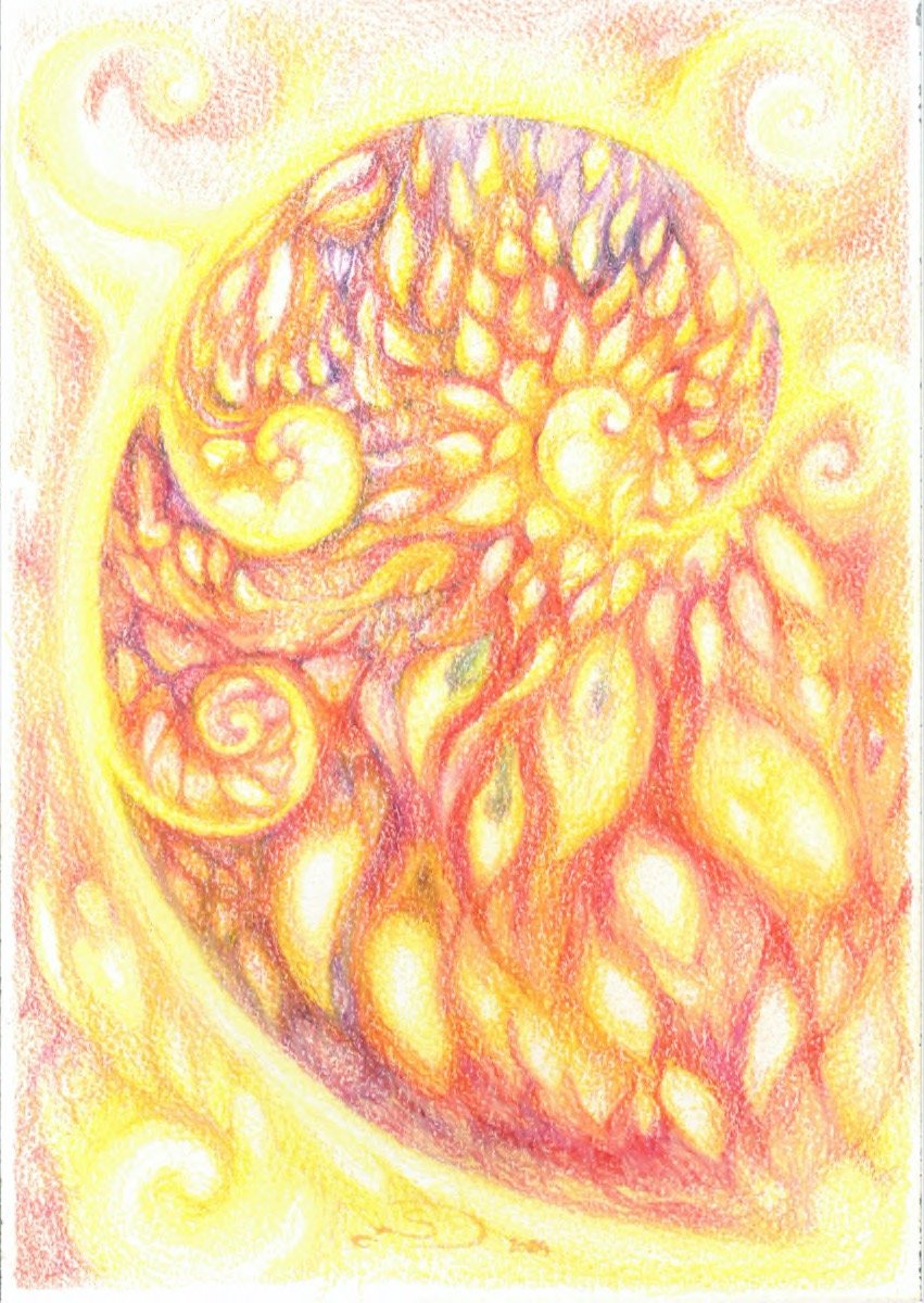 Golden Ration on Fire • pencil • 26x18cm