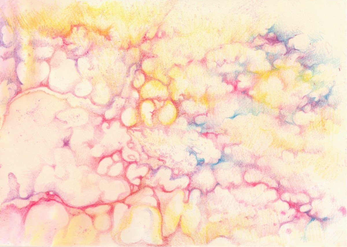 Organic Cosmos • pencil• 21x29cm