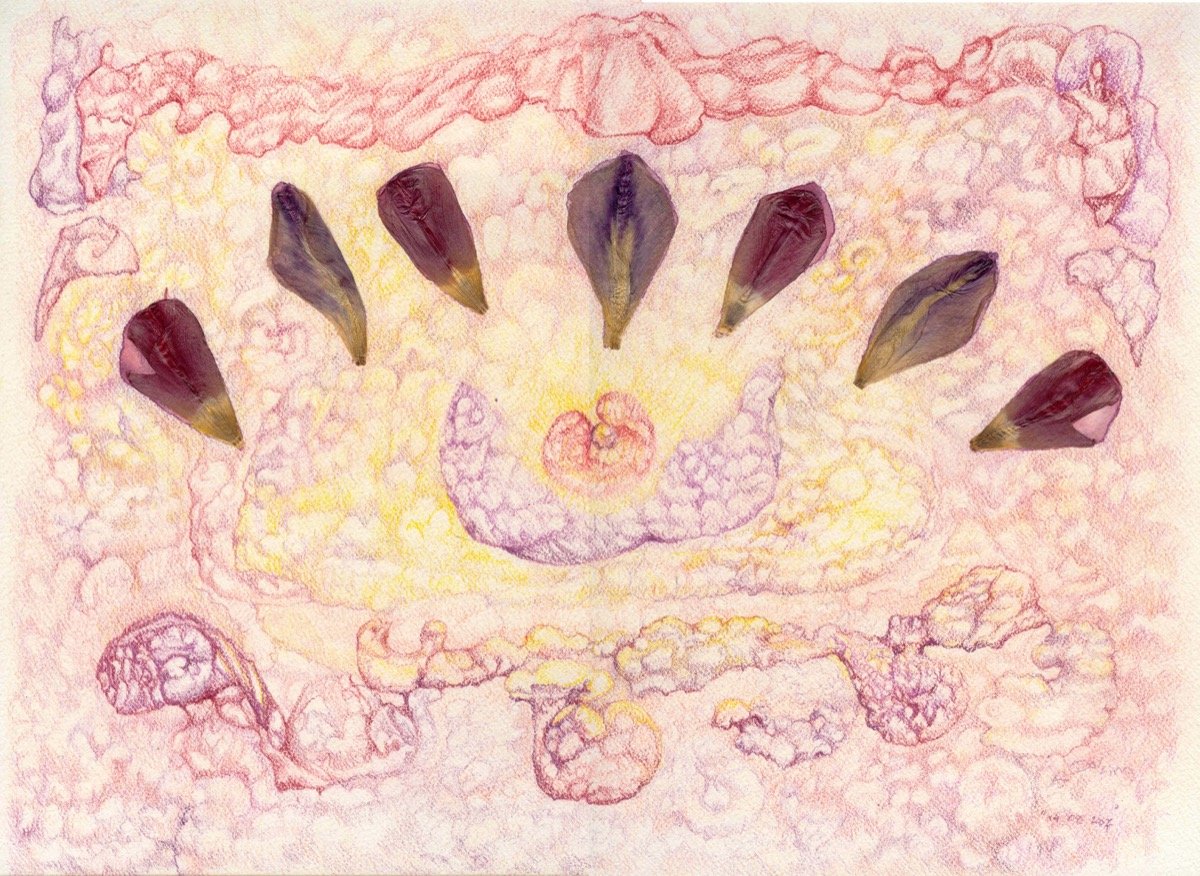 Divine Mother • pencil & tulip leaf • 31x41cm