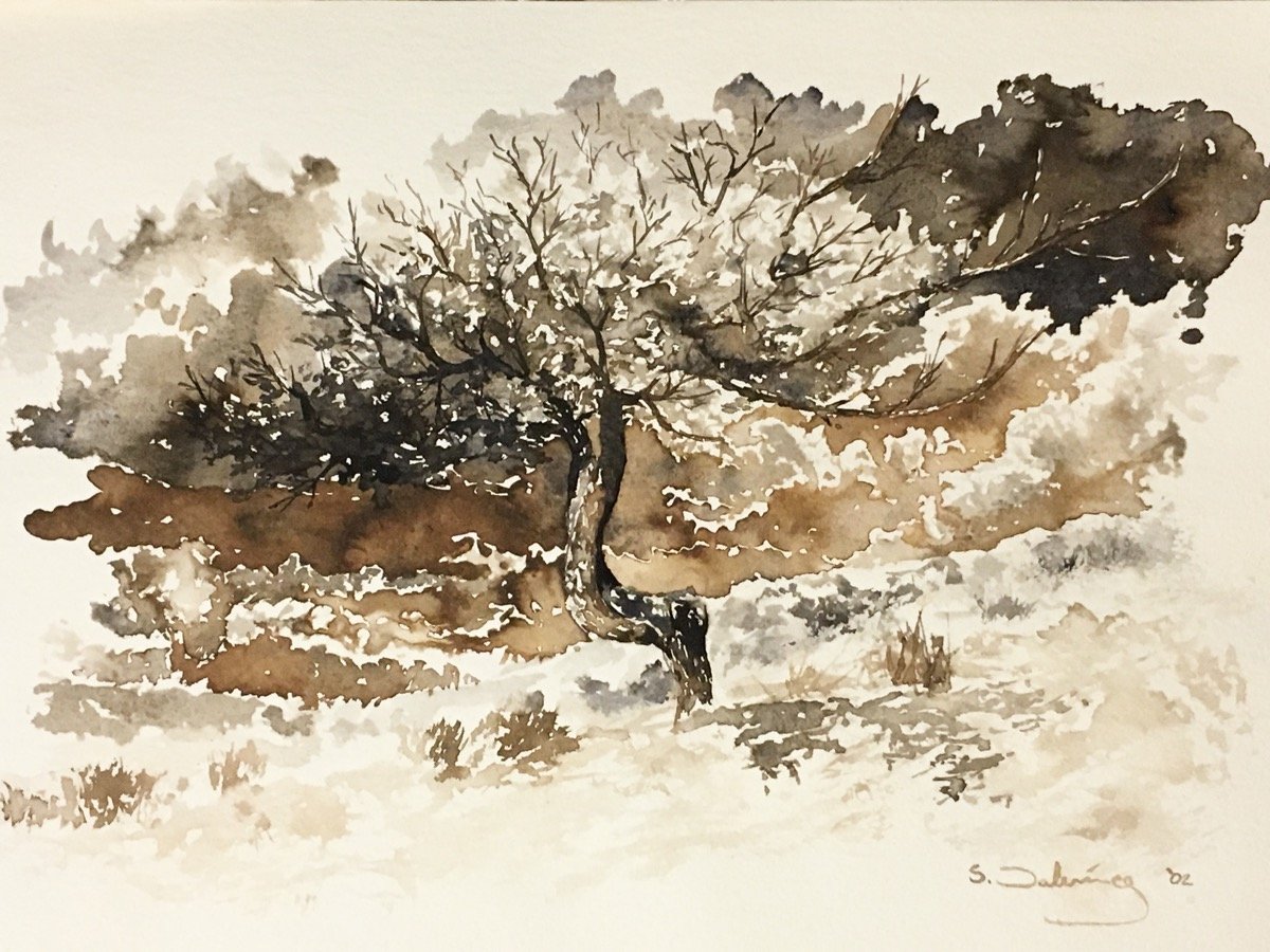 Crying Tree • watercolour • 25x35cm