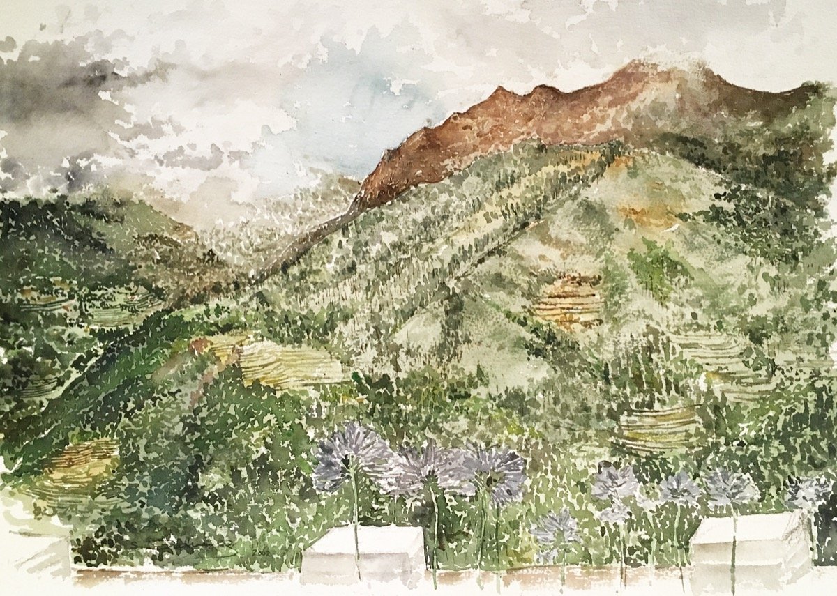 Madeira • watercolour • 40x60cm