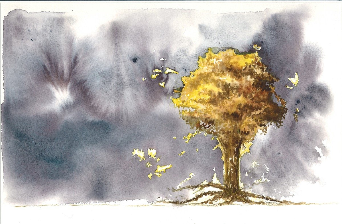 Walking Tree • watercolour & pencil • 26x36cm