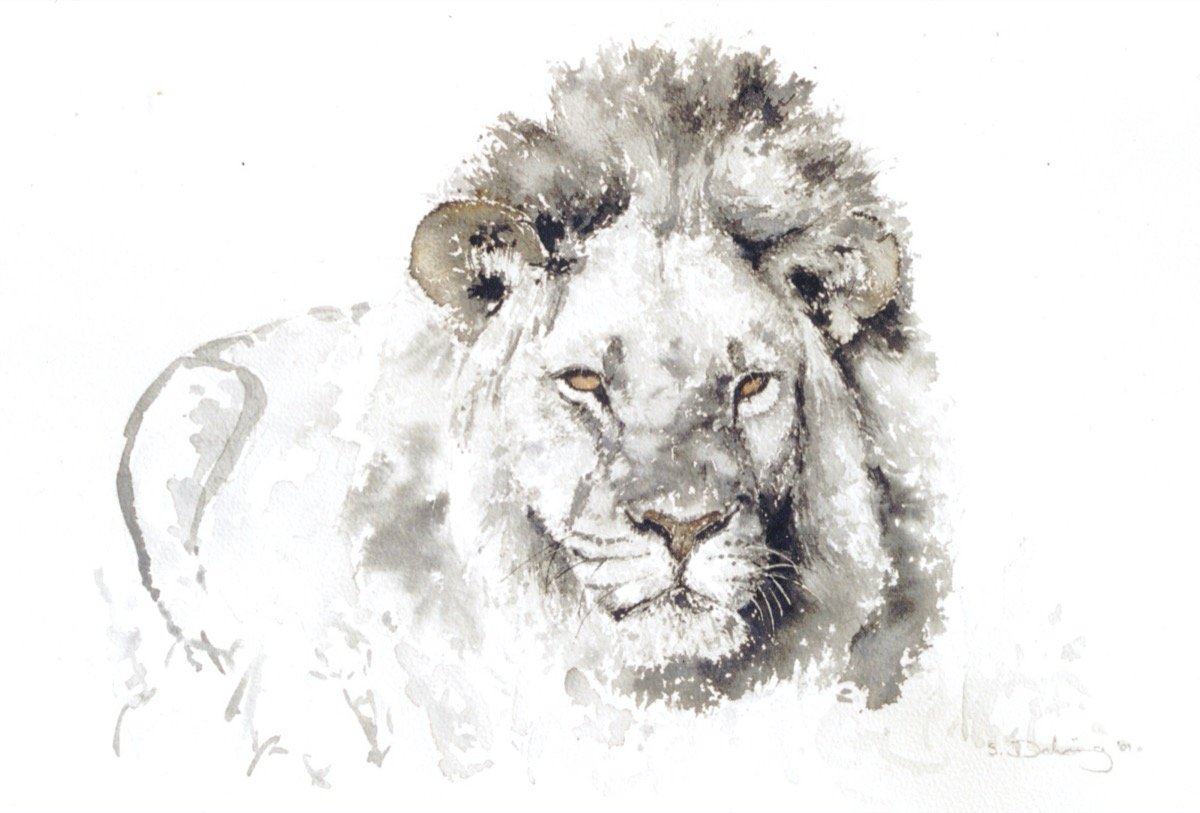 Hunting Lion • watercolour • 30x45cm