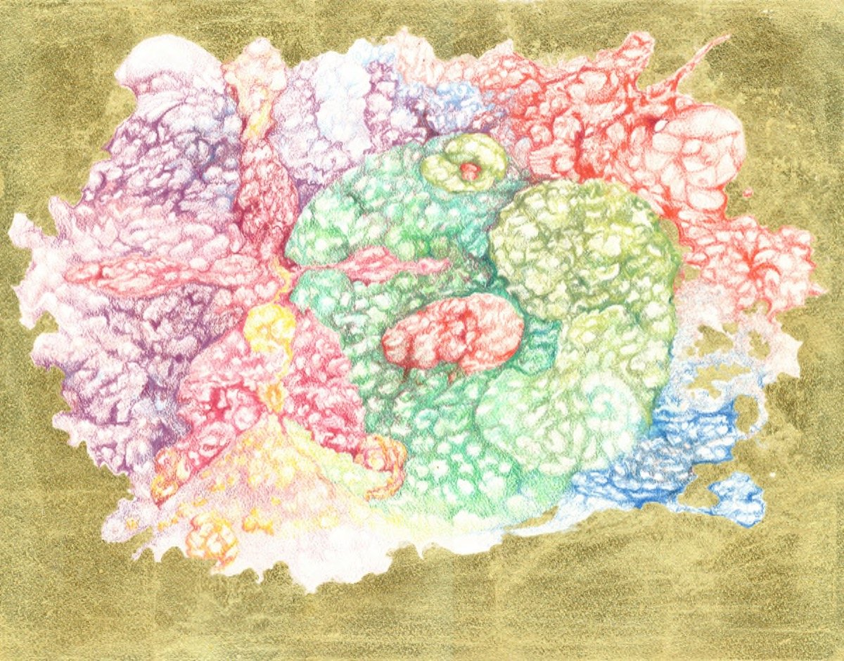 Five Fold Creation • pencil & gold leaf • 22x31cm